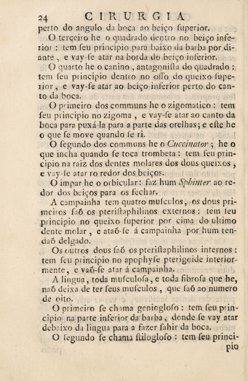 perto do angulo da boca ao beiço fuperior. O terceiro he o quadrado dentro no beiço infe¬ rior : tem feu principio para baixo da barba por di¬ ante , e vay-fe atar na borda do beiço inferior. O quarto he o canino , antagqnifta do quadrado : tem feu piincipio dentro no ofío do queixo fupe- rior, e vay-fe atar ao beiço inferior perto do can¬ to da boca. O primeiro dos communs he o zigomatico : tem feu principio no zigoma , e vay-fe atar ao canto da boca para puxa la para a parte das orelhas ; e efte he o que fe move quando fe ri. Q fegtmdo dos communs he o Cuccmator ; he o que incha quando fe toca trombeta : tem feu prin¬ cipio na raiz dos dentes molares dos deus queixos , e vay-fe atar ro redor dos beiços. O impar he o orbicular: fàz hum Sphinter ao re¬ dor dos beiços para os fechar. A campainha tem quatro muículos, os dous pri¬ meiros fiô os pteriftaphilinos externos : tem íeu principio no queixo fuperior por cima do ultimo dente molar 5 e ataó-fe á campainha por hum ten¬ dão delgado. Os outros dous fnô os pteriftaphilinos internos : tem feu principio no apophyfe pterigoide interior¬ mente , e vâõ-fe atar á campainha. A lingua, toda nuifculofa, e toda fibrofa que he, rsaó deixa de ter feus muículos , que faó ao numero de oito. O primeiro fe chama genioglofo : tem feu prin¬ cipio na parte inferior da barba * donde fe vay atar deba ixo da lingua para a fazer fahir da boca. O fegundo fe chama íliioglofo : tem feu princi¬ pio