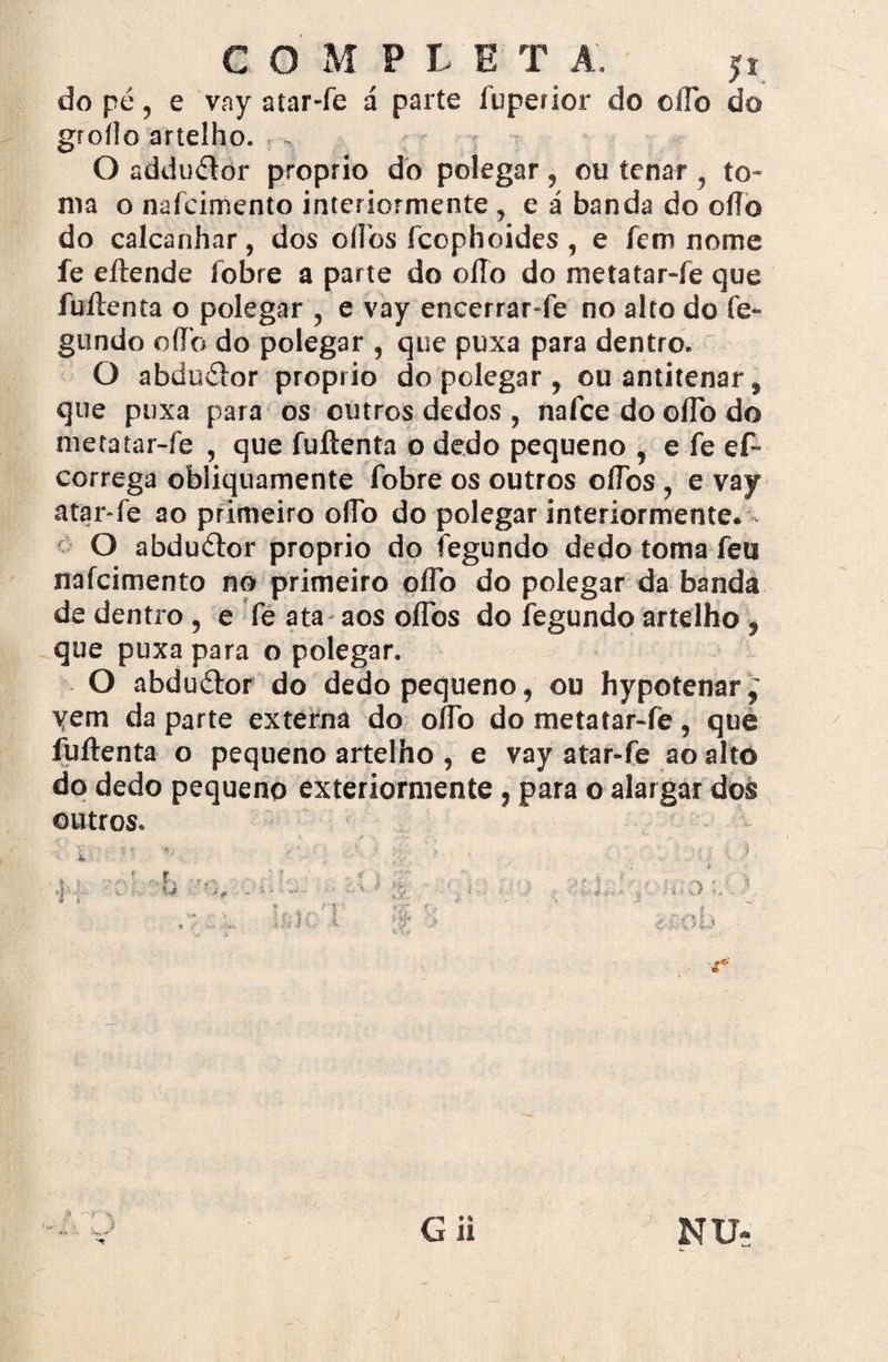 GOMPLET A p do pé, e vny atar-fe á parte fuperior do oíTo do groílo artelho. , , O adduélor proprio do polegar, ou tenar , to¬ ma o nafcimento interiormente , e á banda do oíTo do calcanhar, dos oílbs fcophoides , e fem nome fe eílende fobre a parte do oflo do metatar-fe que fuílenta o polegar , e vay encerrar-fe no alto do fe- gundo oííb do polegar , que puxa para dentro. O abduélor proprio do polegar , ou antitenar, que puxa para os outros dedos , nafce do oíTo do metatar-fe , que fuílenta o dedo pequeno , e fe ef- correga obliquamente fobre os outros oílbs, e vay atar-fe ao primeiro oíTo do polegar interiormente. O abduétor proprio do fegundo dedo toma feu nafcimento no primeiro oíTo do polegar da banda de dentro , e fe ata aos oflbs do fegundo artelho , que puxa para o polegar. O abduélor do dedo pequeno, ou hypotenar vem da parte externa do oflb do metatar-íè, que fuílenta o pequeno artelho , e vay atar-fe ao alto do dedo pequeno exteriormente, para o alargar dos outros. s* G ii 7 NU- J