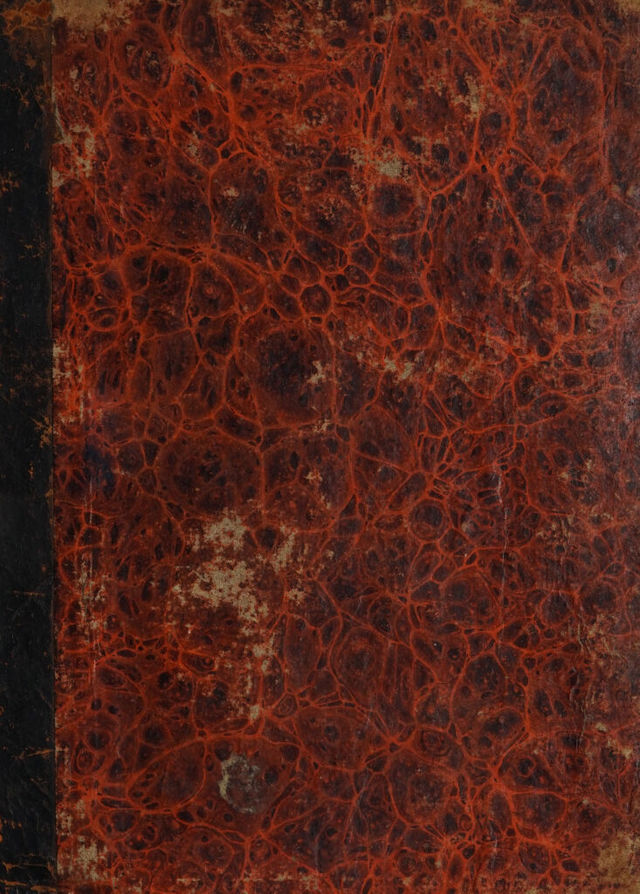 digitised image 1