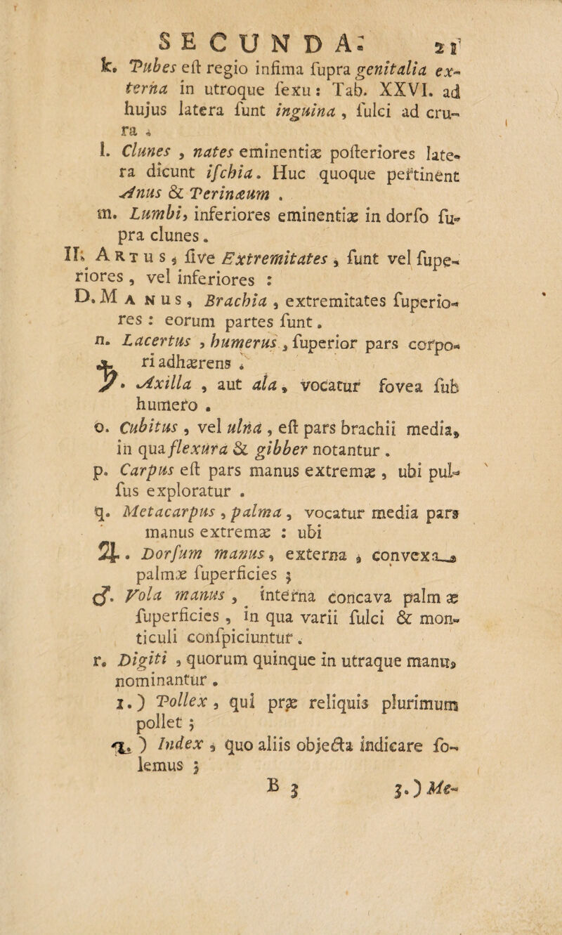 SECUNDA.' s e’ k. Tabes efi regio infima fupra genitalia ex¬ terna in utroque feXu: Tab. XXVI. ad hujus latera funt inguina , fulci ad cru¬ ra 4 l. Clunes , nates eminentiae pofierlorcs late® ra dicunt ifchia. Huc quoque pertinent sinus & Terinaeum . m. Lumbi, inferiores eminentiae in dorfo fu¬ pra clunes. A rt u s «s live Extremitates , funt vel fupe=* riores , vel inferiores : D.M a nus, Brachia , extremitates fuperio- res : eorum partes funt. n. Lacertus , humerusfuperior pars corpo* «3u ri adhaerens f J7. .Axilla , aut ala, vocatur fovea fub humero . o. Cubitus , vel ulna , eft pars brachii media» in qua flexura & gibber notantur . p. Carpus eft pars manus extrema 5 ubi pul- fus exploratur , q. Metacarpus , palma , vocatur media para manus extremas : ubi %. Dorfum manus, externa 9 convexa^® palmae fuperficies 5 C?» Vola manus , ^ interna concava palm x fuperficies , in qua varii fulci & mon¬ ti culi confpiciuntur „■ r. Digiti , quorum quinque in utraque manu* nominantur . 1 2.) Tollex i qui prae reliquis plurimum pollet 5 % ) Index 9 quo aliis obje&a indicare fo- lemus 3 l 1