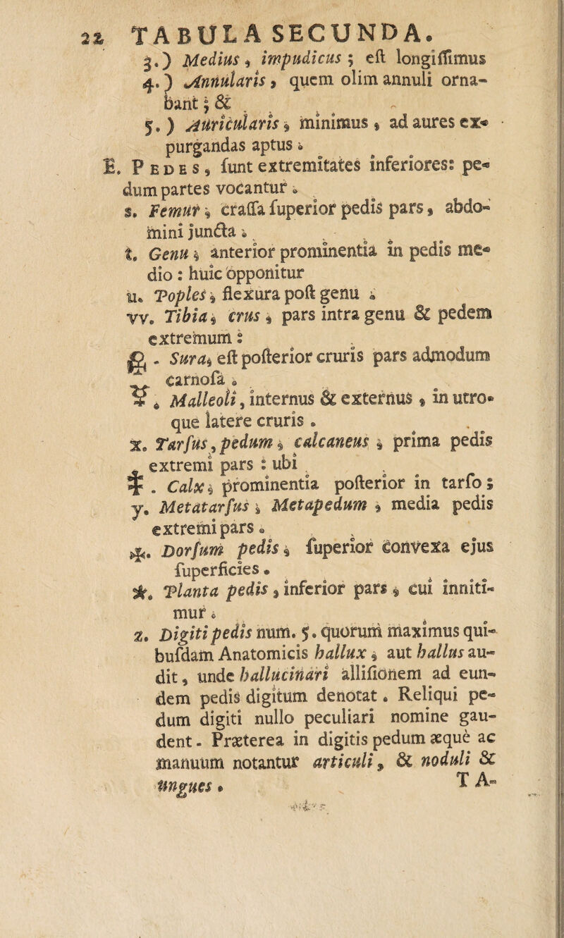 %% TABULA SECUNDA. j,) Medius impudicus j eft longifiimus 4*) ^Annutaris ? quem olim annuli orna¬ bant \ 8l 5,) a Uricularis , minimus » ad aures ex® purgandas aptus i B, Pedes, funtextremitates inferiores: pe* dum partes vocantur * g* Femur * eraffa fuperior pedis pars , abdo« mini junda i ¥ , . t# * anterior prominentia in pedis me* dio: huic 'opponitur iu Toples% flexura poft genu i YVe Tiiw* pars intra genu & pedem extremum s . Sura* eft pofterior cruris pars admodum carnofa 0 V * Malleoli, internus & externus f in utro® que latere cruris . # %a Tarfus , pedum * calcaneus * prima pedis extremi pars : ubi ^ , $ . Calx * prominentia pofterior in tarfo ; y. Metdtarfus * Met ape dum 9 media pedis extremi pars © Dorfum pedis 9 fuperior convexa ejus fuperficies • Tlanta pedis * inferior pars $ cui inniti- muf i Digiti pedis num. 5. quorum maximus qui- bufdam Anatomicis hallux* aut halius au¬ dit , unde hallucinan allifionem ad eun¬ dem pedis digitum denotat * Reliqui pe¬ dum digiti nullo peculiari nomine gau¬ dent - Praeterea in digitis pedum aeque ac manuum notantur articuli, & noduli 8t angues * T A-