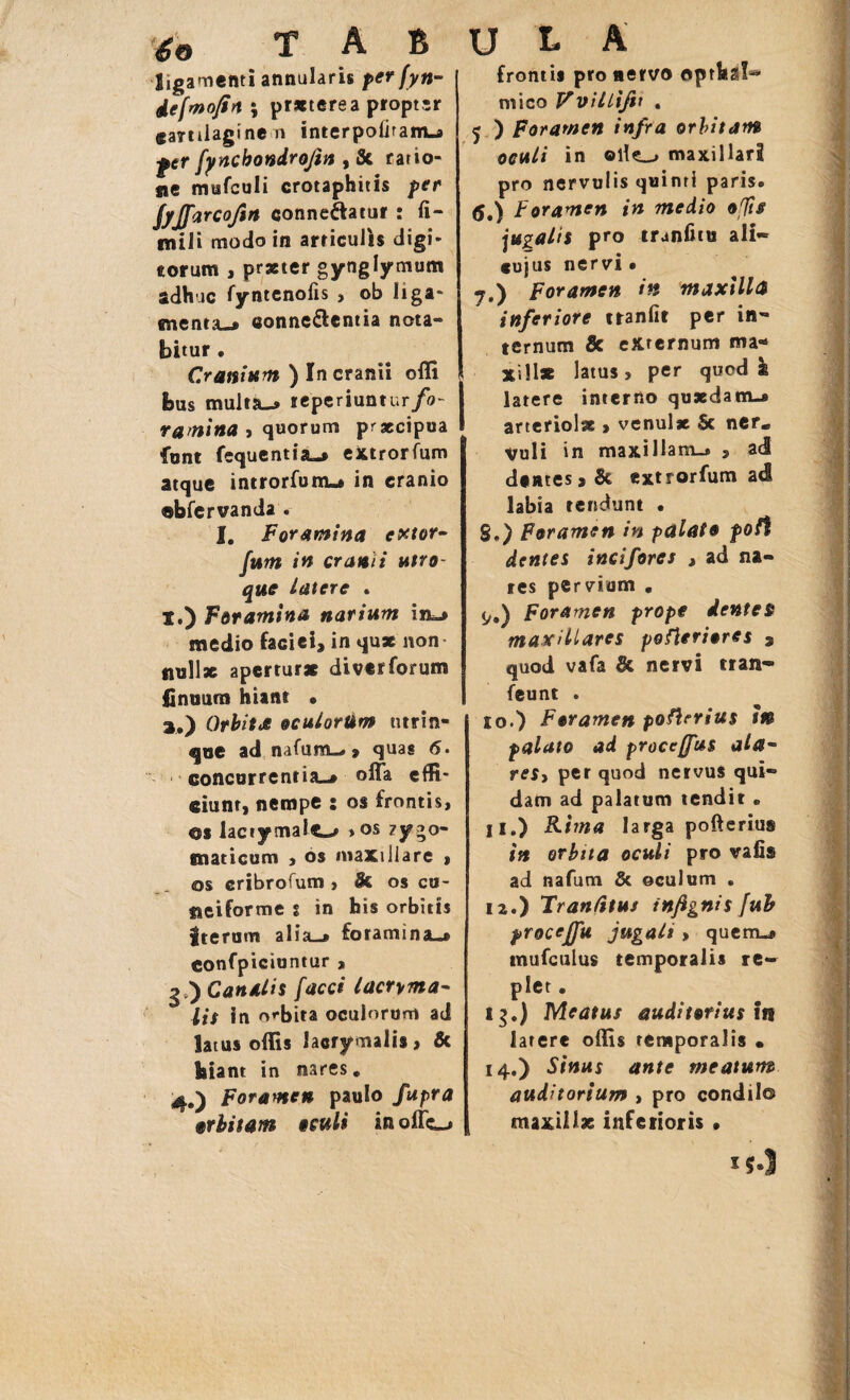 go T A B ligamenti annularis per fyn- defrnojin ; praeterea propter cartilagine n interpolitam-» f*r fyncbondrojtn, Sc ratio- fie mufculi erotaphitis per jyjfarcofin conneflatur : fi¬ mi Ii modo in articulis digi¬ torum , prxtcr gynglymum adhuc fyntcnofis , ob liga¬ menta-# conne&cntia nota¬ bitur • Cranium ) In cranii offi bus multa-# reperiuntur/o- r a mina , quorum praecipua font fcquentia-* extrorfum atque introrfum-* in cranio ®bferwanda « I. Foramina extor¬ tum in cranii utro¬ que Latere . X.) Foramina narium in_» medio faciei, in quae non nullae apertur* diverforum fi nuam hiant • a.) Orbita oculorum ntrin- qoe ad nafum-»» quas 6. concurrentia-» offa effi¬ ciunt, nempe : os frontis, os lactymalt-* >os zygo¬ maticum , os maxillare , os cribrofum , & os cu¬ neiforme s in his orbitis Iterum alia—» foramina-» confpiciuntur , | Canalis facci lacrima¬ lis in orbita oculorum ad latus offis lacrymalis > & hia nt in nares, 4.) Foramen paulo fupra orbitam oculi in offe-» U L A frontis pro «ervo opr!t&I~ mico Vvillxfv , 5 ) Foramen infra orbitam oculi in olle.# maxillari pro nervulis quinti paris. <$,) Foramen in medio offis jugalis pro trunfitu ali- cujus nervi • 7. ) Foramen in maxilla inferiore tranfit per in¬ ternum & externum ma¬ xillae latus, per quod k latere interno quaedam-» arteriolae » venulae Se ner* Vuli in maxillam.# 5 ad dentes. Se extrorfum ad labia tendunt • 8. ) Foramen in palato poft dentes incifores , ad na¬ tes pervium , y.) Foramen prope dentes maxillares pofleriores 3 quod vafa & nervi tran- feunt . 10.) Foramen poftrrius w palato ad procejfus ala¬ res> per quod nervus qui¬ dam ad palatum tendit „ U.) Rima larga pofteriug in orbita oculi pro vafis ad nafum & ©culum . 12. ) Tranfitus infignis fub procejfu jugali » quem-» tnufculus temporalis re¬ plet . 13. ) Meatus auditorius in latere offis temporalis • 14. ) Sinus ante meatum auditorium > pro condii© maxillae inferioris • !{•)