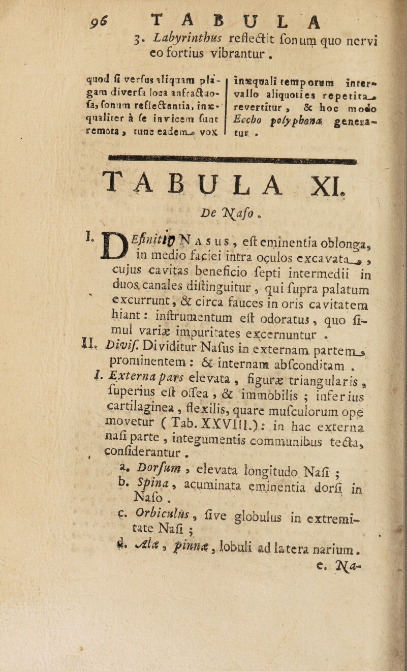 3- Labyrinthus refleftit fonum quo nervi eo fortius vibrantur. qjuoJ fi verfus fliqmin pla¬ gam diverfi loca anfra&ao- fa9 fotum rsfle&sntia, inse* qualiter a fe indicem fum remota > tunc eadem-o vox in*qtsa!i temporam inter¬ vallo aliquoties repetita-* revertitur, Sc hoc moio Eccbo pofypbaita genera¬ tur . TABULA XI. De T^jtfo a h N a s ii s 9 eft eminentia oblonga, ^ *n rnedio faciei intra ogulos excavata.^ , cujus cavitas beneficio fepti intermedii in duos, canales diflinguitur , qui fupra palatum excurrunt, & circa fauces in oris cavitatem biant: inftrutnentum eft odoratus, quo fi- rnul variae impuritates excernuntur . II, Divif Dividitur Nafus in externam partem^ prominentem : 6c internam abfeonditam . I. Externa pars elevata , figurae triangularis „ lupenus e 11 oftea , & immobilis ; inferius cartilaginea , flexilis, quare mufculorum ope movetur ( Tab. XXVKh) .* in hac externa nafi parte , integumentis communibus te da, # confiderantur. a, Dorfum » elevata longitudo Nafi ; b. Spina, acuminata eminentia dorfi in JNafo . c* Orbiculus, five globulus in extremi¬ tate Nafi ; d» , pinu# j lobuli ad latera narium „ e. n