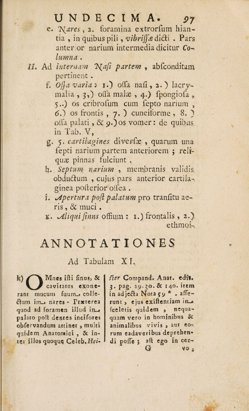 UNDECIMA. 97 e. liares , 2. foramina extrorfum hian¬ tia , in quibus pili , vibriffd di61 i . Pars anter or narium intermedia dicitur Co¬ lumna . II. Ad 'niternam K^afi partem , abfconditam pertinent . f. Offa varia 2- 1.) offa nafl, 2.) lacry- malia , 3,) offa malae , 4.) fpongiofa 9 5..) os cribrofum cum fepto narium , <5.) os frontis , 7. ) cuneiforme , 8. ) offa palati , & 9.)os vomer: de quibus in Tab. V, g. 5. cartilagines diverfae , quarum una fepti narium partem anteriorem $ reli¬ quae pinnas fulciunt , h. Septum narium , membranis validis obdudum , cujus pars anterior cartila^ ginea pofl:erior olfea . i. apertura pofl palatum pro tranfitu ae¬ ris , & muci . K' cAliqui finns offium : 1.) frontalis, 2.) ethmok ANNOTATIONES Ad Tabulam X L k) Mnes ifti finus, & V Jf cavitates exone¬ rant mucum fuum_* colle¬ gium im_» nares - Praeterea quod ad foramen illud in_s palato polt dentes incifores obfervandum attinet 5 multi quidem Anatomici , & in¬ ter illos quoque Celeb.Hf/- lier Compand. Aftat. edtl* 3. pag. 29.30. & 140. item in adje£ta Nota 39 * . affe¬ runt y ejus exiftentiam hi_* fceletis quidem , nequa¬ quam vero in hominibus Sc animalibus vivis 3 aut rum eadaveribus deprehen¬ di poffe ; aft ego in cesr- G voj