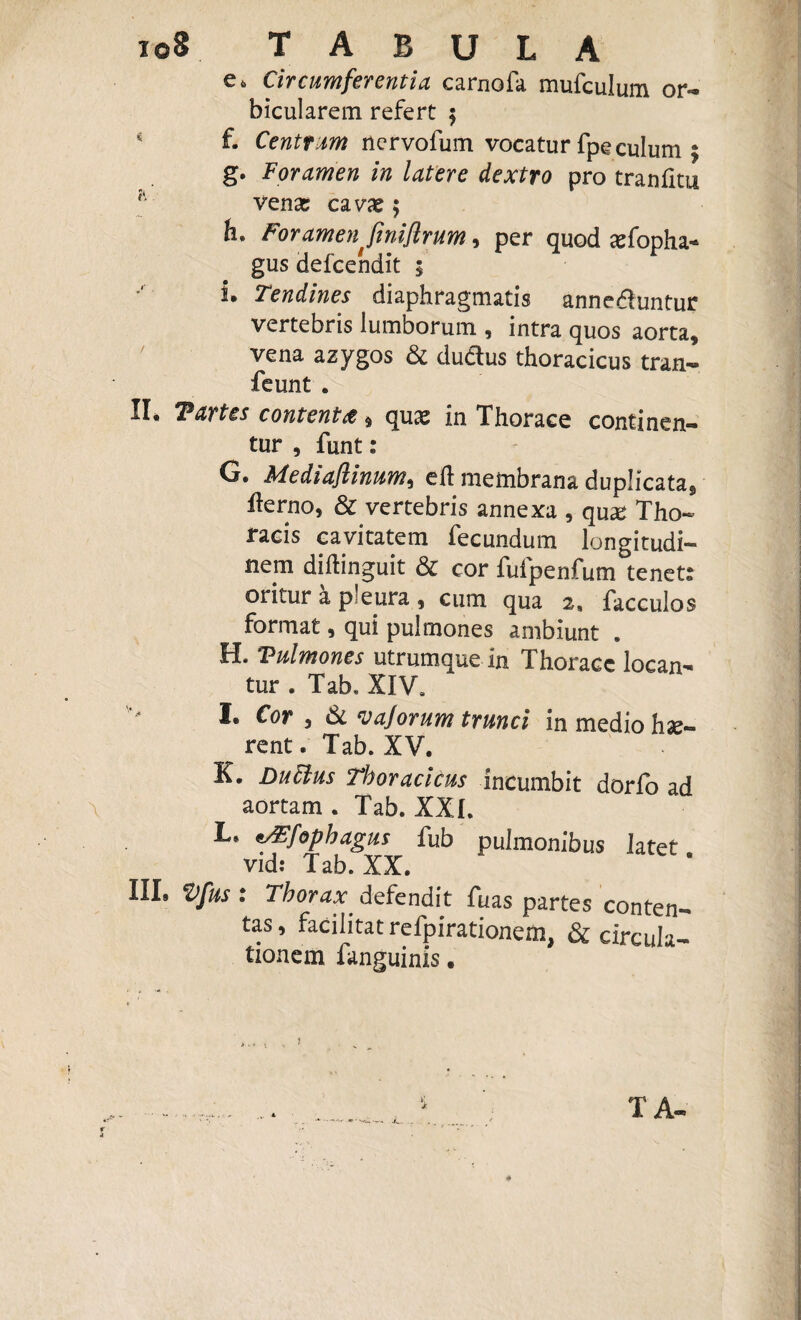 i ©8 TABULA c <> Circumferentia carnofa mufculum or— bicularem refert $ f. Centrum nervofum vocatur fpe culum ; g. Foramen in latere dextro pro tranfitu h venae cavae; h* Foramenfmiflrum, per quod cefopha- gus defeendit 5 i. Tendines diaphragmatis annectuntur vertebris lumborum , intra quos aorta* vena azygos & ductus thoracicus tran- feunt . II, T artes contenta * quae in Thorace continen¬ tur , funt: G. Mediaflinum, et membrana duplicata* terno, & vertebris annexa , qux Tho¬ racis cavitatem fecundum longitudi¬ nem diftinguit & cor fufpenfum tenet: oritur a pleura , cum qua 2, facculos format, qui pulmones ambiunt . H. Tulmones utrumque in Thorace locan¬ tur . Tab, XI Va I® c°r 3 & vajorum trunci in medio h ge¬ rent . Tab. XV. K. DuCius Thoracicus incumbit dorfo ad aortam . Tab. XXI. L, t/Efophagus fub pulmonibus latet vid: Tab. XX. HI® ^fus • Thorax defendit fuas partes conten¬ tas, facilitat refpirationem, & circula¬ tionem fanguinis.