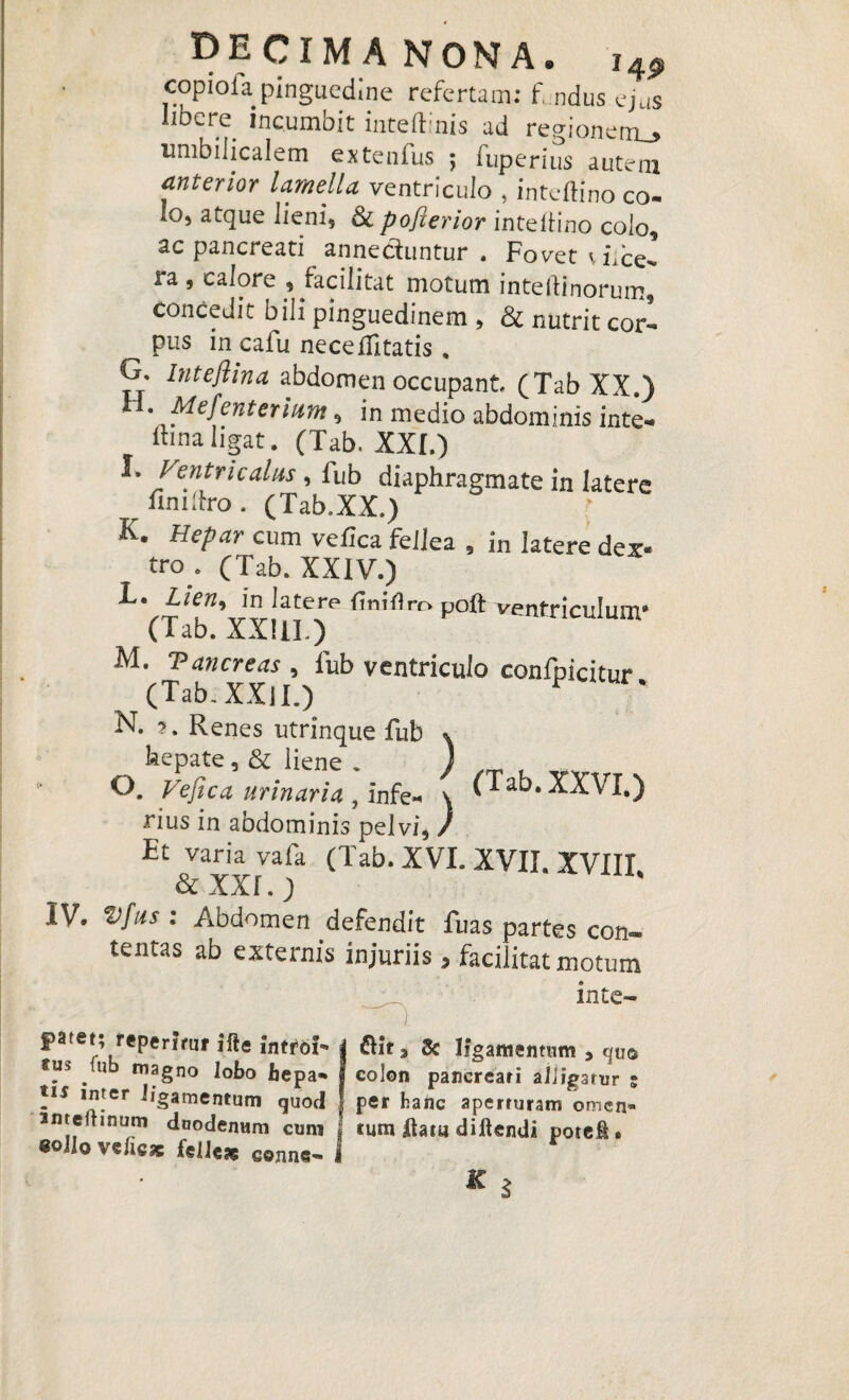 DECIMA NONA. 14P copiofa pinguedine refertam; f ndus ejus Iibcre^ incumbit inteftlnis ad regionem^ umbilicalem extenfus ; fuperius autem anterior lamella ventriculo , inteftino co¬ lo, atque lieni, & poflerior in te di no colo, ac pancreati annectuntur . Fovet vFce*» ra, calore , tacilitat motum intellinorum, concedit bili pinguedinem , & nutrit corl pus in cafu neceffitatis . G. Intefiina abdomen occupant (Tab XX.) li. Mefemerium, in medio abdominis inte- ftinaligat. (Tab, XXI.) I. Ventriculus, fub diaphragmate in latere iimitro. (Tab.XX.) K. Hepar cum vefica fellea , in latere dex¬ tro . (Tab. XXIV.) Ff”’J»Jatere finirtropoft ventriculum' (lab. XXIII.) M. Pancreas , fub ventriculo confpicitur (Tab. XX] I.) F N. 3. Renes utrinque fub * hepate, & liene . O. Vefica urinaria, infe- \ O ab. XXVI.) rius in abdominis pelvi, / Et varia vafa (Tab. XVI. XVII. XVIII & XXI.) IV. Vfus : Abdomen defendit fuas partes con¬ tentas ab externis injuriis, facilitat motum inte- ) patet; reperiruf ifie intro!- 4 &it3 Se ligamentum , quo *lIi . 11 mf§no lobo bepa- I colon pancreati adigatur ; tu inter b’gamentum quod J per hanc aperturam omen» tmeftinum duodenum cum J tum datu didendi potei. eoilo vcfic* feiicas cenne- i * 5