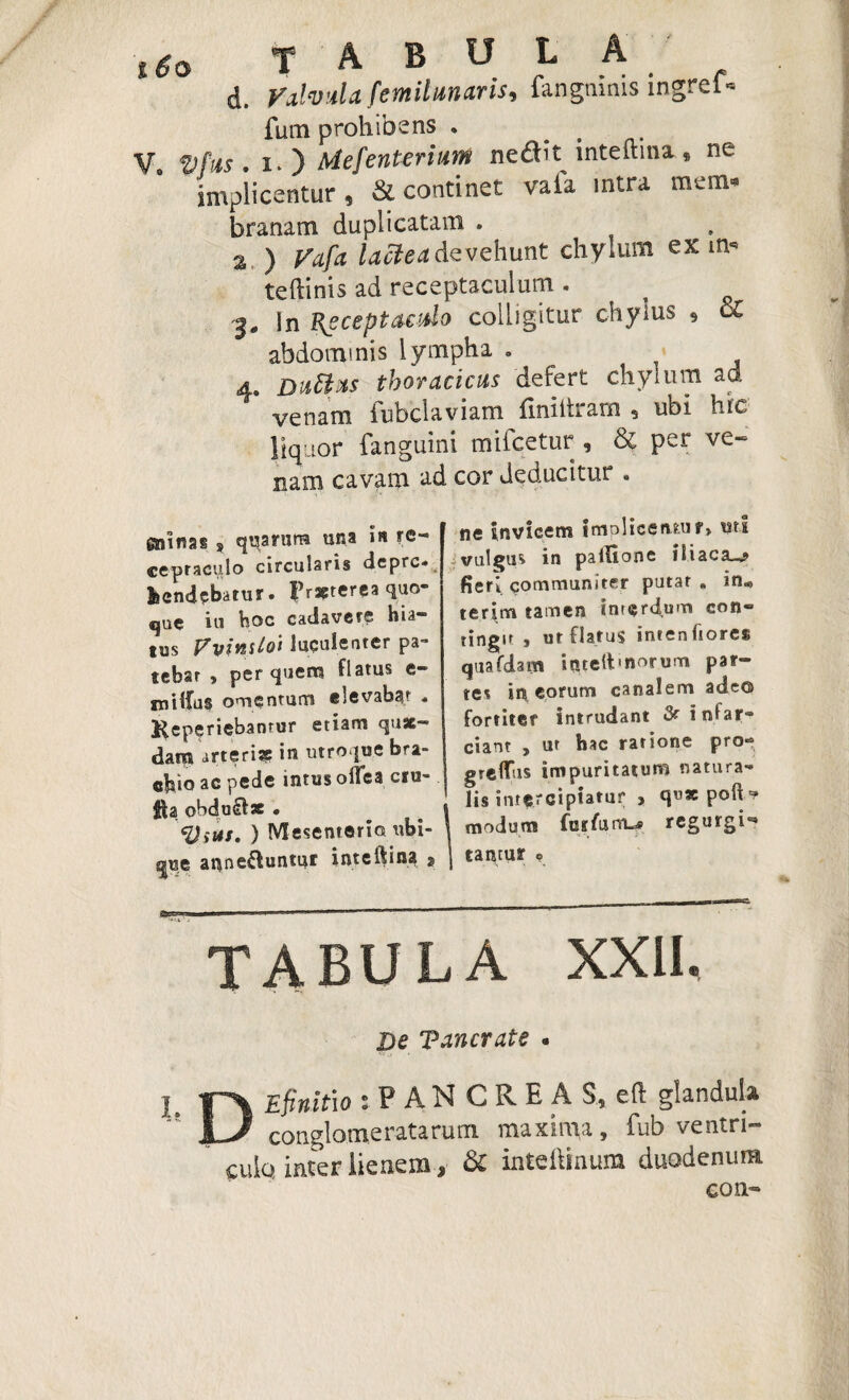 t6o tabula d. Valvula femilunaris, fangnims mgref- fum prohibens . _ V. Vftts • i. ) Mefentertum nedit lnteltina , ne implicentur, & continet vaia intra mem¬ branam duplicatam . a ) Vafa lactea devehunt chy lum ex m- teftinis ad receptaculum . 3. in Receptaculo colligitur chylus , U abdominis lympha . 4. Duttus thoracicus defert chylum ad venam fubclaviam finittram , ubi hic liquor fanguini mifcetur , & per ve¬ nam cavam ad cor deducitur . s quarum una in re¬ ceptaculo circularis depre¬ hendebatur. praeterea quo¬ que iu hac cadavere hia¬ tus Vviniloi luculenter pa¬ tebar j per quem flatus e- fnilfas omentum elevabat * Keperiebantur etiam quae¬ dam arteris: in utroque bra¬ chio ac pede intus olTca ciu- fh obdu&se « fyiits. ) Mesenterio ubi¬ que amne&untur i nt e 11: i na s ne Invicem imolicen.ru f» urs vulgus in palfione iliaca^? fieri communiter putat » in« terim tamen interd um con¬ tingit , ut flatus intenfiores quafdam inteftmorum par¬ tes in eorum canalem adeo fortiter Intrudant 3? i nfar- ciant , ur hac ratione pro*> grelTus impuritatum natura¬ lis intercipiatur 3 qv* poft * modum fni/uitw. regurgi^ tantusr e TABULA XXII. &e Tancrate . DEfinitio :PANCREAS,e(l glandula conglomeratarum maxima, fub ventri¬ culo inter lienem, & inteftinum duodenum con-