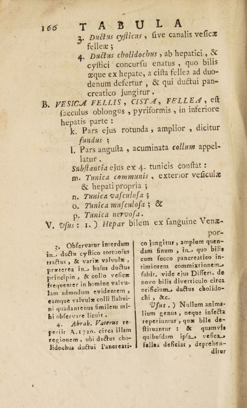 166 T A- B U L A Didius cyfticus , live canalis veficx ** fcllcsc 5 4. Duitas cbolidocbus , ab hepatici , Sc cyftici concurfu enatus , quo bilis seque ex hepate, a cifta fellea ad duo¬ denum defertur , & qui duftui pan¬ creatico jungitur. B yESlCJt TELL1S , CISTA, FELLEA , eft faccultis oblongus , pyriformis, in inferiore hepatis parte : v . k. Pars ejus rotunda, amplior , dicitur fundus ? , l. Pars anguda , acuminata colium appel- latuf. 4 $&bflantia ejiis ex 4* tunicis conflat : m, Tunica communis , exterior veilcm^ & hepati propria \ ne Tunica vafculofa $ o. Tunica mufcutofa ; 6t p. Tunica nervofa. V. vfus: 1. ) mpar bilem ex fanguine \ ens- ' por- ^ Obfervatur Interdum infl ducyftico tortuofus tragus , & vari* valvulae , |>rarterea in_» bufus duus principio > & collo vefiese frequenter in homine valvu¬ lam admodum evidentem > eamque valvulae colli Bahui- v\) quadantenus fimilem mi- hi obfervare licuit • 4. Abrah. Vaterus tt- jDeriit A.172.0. circa illam regionem , ubi duplus cho- lidoehua duftui Pancreati¬ co jungitur» amplam quen- dam finum 3 in_» quo bilis cum fucco pancreatico in¬ timiorem commixtionem-» fubit. vide ejus DHBert» de novo bilis diverticulo circa orificium-* du&us cholido- chi 3 &c» Vfus . ) Nullum anima¬ lium genus 3 neque infefta reperiuntur , qux bile de- ftituantur : 5c quamvis quibufdsm ipfa-» vefica~» fellea deficiat > deprehen¬ ditur <