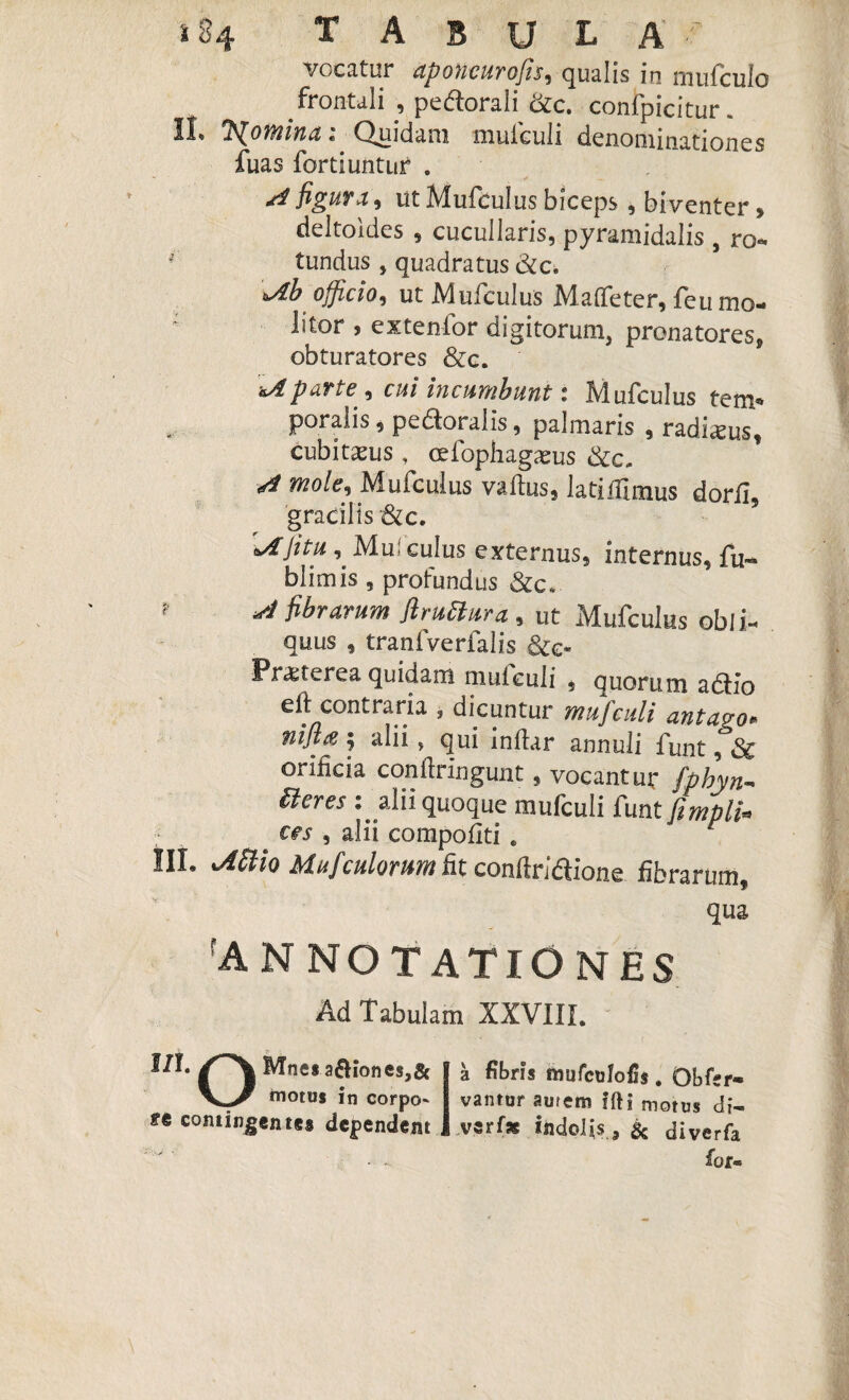 i 84 tabula r vocatur apoucurofis, qualis in mufculo frontali , pedorali ikc. confpicitur. Ii* 0h£o?tiina« Quidam mulculi denominationes fuas forti untur . si figura, ut Mutulus biceps , biventer» deltoides , cucullaris, pyramidalis , ro- tundus , quadratus &c. \Ab officio, ut Mufculus Madeter, feu mo¬ litor , extenfor digitorum, pronatores, obturatores &c. &Aparte , cui incumbunt 1 Mufculus rem5» poralis, pedoralis, palmaris , radimus, cubitaeus, odophagaeus &c, si mole, Mufculus vadus, latiffimus dorfu gracilis &c. oAJitu , Mu; culus externus, internus, fu-» blimis, profundus ? ** fibrarum ftruttura , ut Mufculus obli¬ quus , tranfverfalis &e* Praeterea quidam nmiculi , quorum adio eft contraria * dicuntur mufculi antavo* nifl£; alii , qui indar annuli funt, 3c oridcia condringunt, vocantur fphyn- ffieres alii quoque mufculi funt fimpli* ces , alii compotiti . r IIL jtttio Mufculorum dt condridione fibrarum, qua ANNOTATIONES Ad Tabulam XXVIII. Mnes asiones motus in corj fe contingentes dependt a fibris mufculofis . Obfer- vantur aurem ifti motus di- vsrfx indolis., & diverfa for«