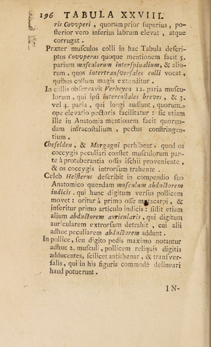 ris Covvperi , quorum prior fuperius , po¬ lle rior vero inferius labrum elevat , atque corrugat . Praeter mufculos colli in hac Tabula defcri- ptos Covvperus quoque mentionem facit 5. parium mufculorum inter [pinalium, & alio¬ rum , quos intertranfverfales colli vocat s quibus collum magis extenditur . In collis obfervavit Verheyen 12. paria mufcu- lorum , qui ipii intercoflales breves , 8t 3« vel 4. paria , qui longi audiunt, quorum^» ope elevatio pedoris faeilitatur : fic etiam ille in Anatomia mentionem facit quorun- dani infracoftalium 5 pedus conflrinpen* tium * Chefelden , & Morgagni perhibent , quod os coccygis peculiari conflet mufculorum par¬ te a protuberantia odis Ifchii proveniente , & os coccygis introrfum trahente . Celeb Heifierus defcribit in compendio fuo Anatomico quendam mufculum abductorem indicis . qui hunc digitum verfus pollicem movet: oritur a primo offe mjfacarpi, inferitur primo articulo indicis : flftit etiam alium abductorem auricularis, qui digitum auricularem extrorfum detrahit , cui alii adhuc peculiarem abductorem addunt. In pollice, feu d;gito pedis maximo notantur adhuc 2. mulculi, pollicem reliquis digitis adducentes, fcilicetantithcnar , & tranfver- falis, qui in his figuris commode delineari , haud potuerunt * IN-