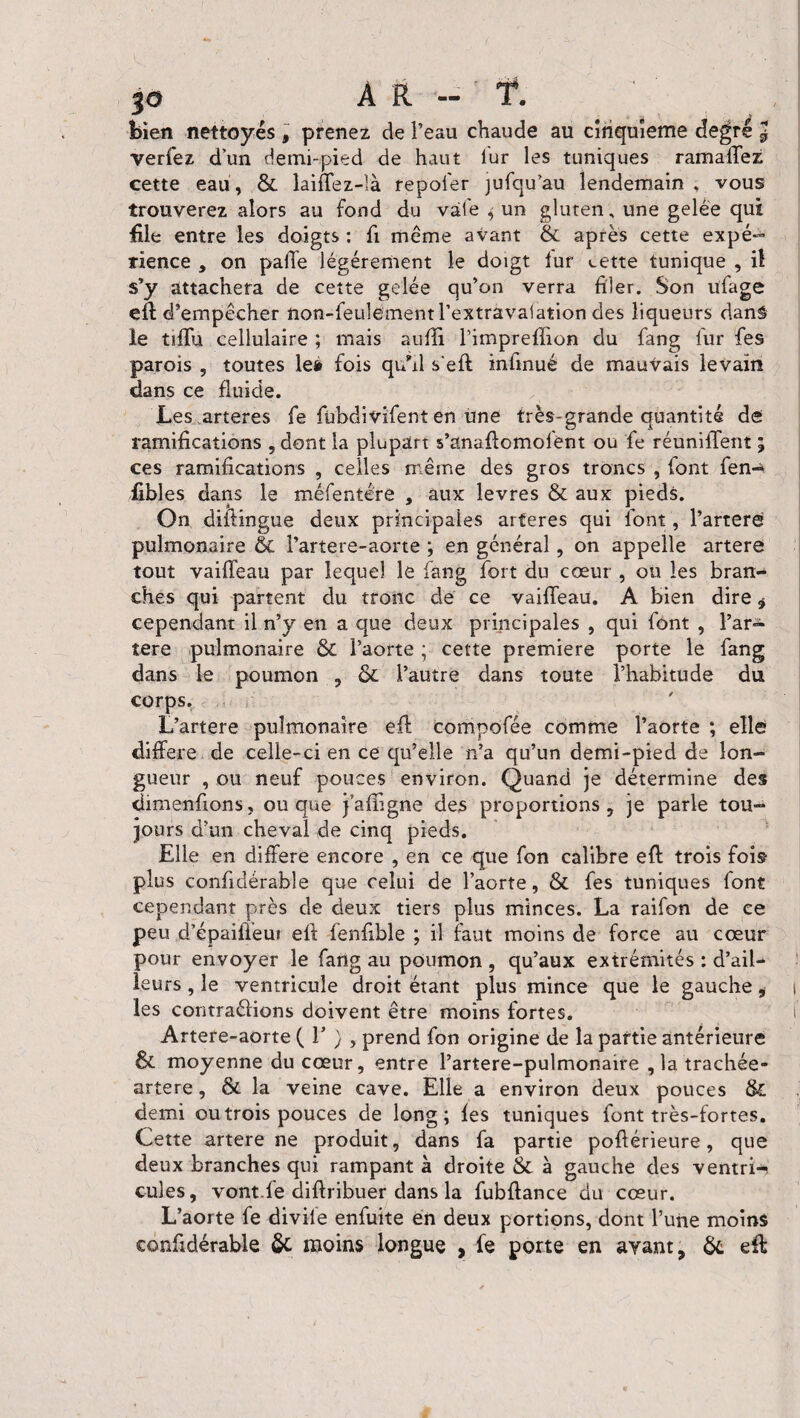 A R — bien nettoyés , prenez de l’eau chaude au cinquième degré J verfez d’un demi-pied de haut lur les tuniques ramaffez cette eau, & laiffez-là repofer jufqu’au lendemain , vous trouverez alors au fond du val'e $ un gluten, une gelée qui file entre les doigts : fi même avant & après cette expé¬ rience , on pafîe légèrement le doigt fur cette tunique , il s’y attachera de cette gelée qu’on verra filer. Son üfage eft d’empêcher non-feulement l’extravalation des liqueurs dans le tifïu cellulaire ; mais aufïi l’impreflion du fang lur fes parois , toutes lea fois quhl s'eff infinué de mauvais levain dans ce fluide. Les arteres fe fübdivifent en une très-grande quantité de ramifications , dont la plupart s’anaflomoiènt ou fe réunifient ; ces ramifications , celles même des gros troncs , font fen-^ fibles dans le méfentére , aux levres & aux pieds. On diifingue deux principales arteres qui font, Partere pulmonaire & Partere-aorte ; en général , on appelle artere tout vaiffeau par lequel le fang fort du cœur , ou les bran¬ ches qui partent du tronc de ce vaifleau. A bien dire * cependant il n’y en a que deux principales , qui font , l’ar- îere pulmonaire & Paorte ; cette première porte le fang dans le poumon , & Pautre dans toute l’habitude du corps. L’artere pulmonaire efl compofée comme Paorte ; elle différé de celle-ci en ce qu’elle n’a qu’un demi-pied de lon¬ gueur , ou neuf pouces environ. Quand je détermine des dim enfions, ou que jafhgne des proportions, je parle tou¬ jours d’un cheval de cinq pieds. Elle en différé encore , en ce que fon calibre efl trois fois* plus confidérable que celui de l’aorte, & fes tuniques font cependant près de deux tiers plus minces. La raifon de ce peu d’épaiffeut efl fenfible ; il faut moins de force au cœur pour envoyer le fang au poumon , qu’aux extrémités : d’ail¬ leurs , le ventricule droit étant plus mince que le gauche, les contra&ions doivent être moins fortes. Artere-aorte ( V ) , prend fon origine de la partie antérieure & moyenne du cœur, entre l’artere-pulmonaire , la trachée- artere, & la veine cave. Elle a environ deux pouces & demi ou trois pouces de long; fes tuniques font très-fortes. Cette artere ne produit, dans fa partie poflérieure, que deux branches qui rampant à droite & à gauche des ventri^ cilles, vont.fe diflribuer dans la fubffance du cœur. L’aorte fe divile enfuite en deux portions, dont l’une moins confidérable & moins longue , fe porte en avant, & eft