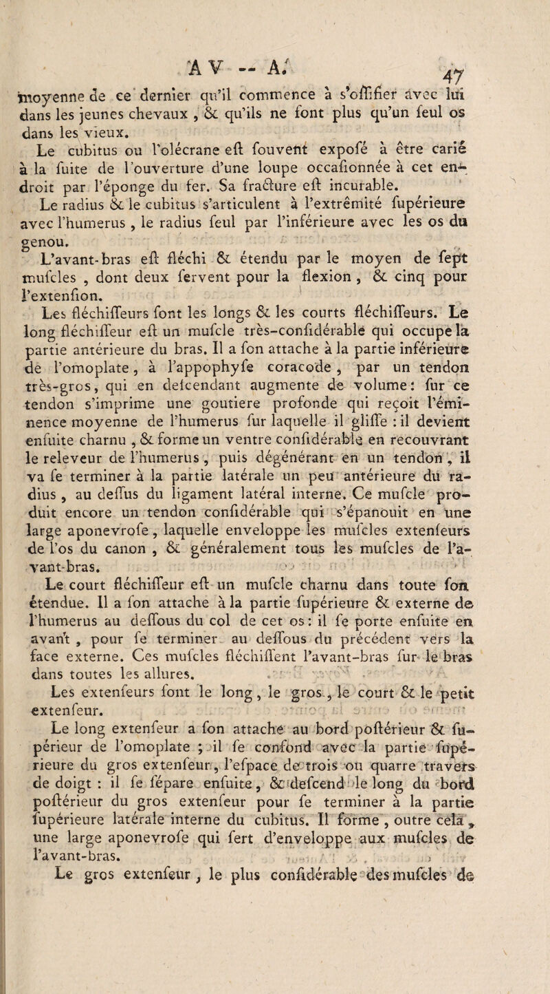 av - a; Tnoyenne Je ee dernier qu’il commence à s’cftlfier avec lui dans les jeunes chevaux , & qu’ils ne font plus qu’un feul os dans les vieux. Le cubitus ou l’olécrane eft fouvent expofé à être carié à la fuite de l’ouverture d’une loupe occafionnée à cet en^ droit par l’éponge du fer. Sa fraélure eft incurable. Le radius & le cubitus s’articulent à l’extrémité fupérieure avec l’hurnerus , le radius feul par l’inférieure avec les os du genou. L’avant-bras eft fléchi & étendu par le moyen de fept mufcles , dont deux fervent pour la flexion , & cinq pour l’extenfion. Les fléchiffeurs font les longs & les courts fléchiffeurs. Le long fléchiffeur eft un mufcle très-confidérablë qui occupe la partie antérieure du bras. Il a fon attache à la partie inférieure de l’omoplate, à l’appophyfe coraco'de * par un tendon très-gros, qui en delcendant augmente de volume: fur ce tendon s’imprime une goutiere profonde qui reçoit l’émi¬ nence moyenne de l’humerus fur laquelle il gliffe : il devient enfuite charnu , &. forme un ventre conftdérable en recouvrant le releveur de l’humerus , puis dégénérant en un tendon , il va fe terminer à la partie latérale un peu antérieure du ra¬ dius , au deffus du ligament latéral interne. Ce mufcle pro¬ duit encore un tendon confidérable qui s’épanouit en une large aponevrofe, laquelle enveloppe les mufcles extenfeurs de l’os du canon , & généralement tous les mufcles de l’a¬ vant-bras. Le court fléchiffeur eft un mufcle charnu dans toute fou étendue. 11 a fon attache à la partie fupérieure & externe de i’humerus au deffous du col de cet os : il fe porte enfuite en avan’t , pour fe terminer au deffous du précédent vers la face externe. Ces mufcles fléchiffent l’avant-bras fur le bras dans toutes les allures. Les extenfeurs font le long, le gros., le court & le petit extenfeur. ' r;e . - .■'* Le long extenfeur a fon attaché au bord poftérieur & fu- périeur de l’omoplate ; il fe confond avec la partie fupé¬ rieure du gros extenfeur, l’efpace de trois ou quarre travers de doigt : il fe fépare enfuite, & defcend le long du bord poftérieur du gros extenfeur pour fe terminer à la partie fupérieure latérale interne du cubitus. Il forme , outre cela 9 une large aponevrofe qui fert d’enveloppe aux mufcles de l’avant-bras. , ,... . ., Le gros extenfeur , le plus confidérable des mufcles de