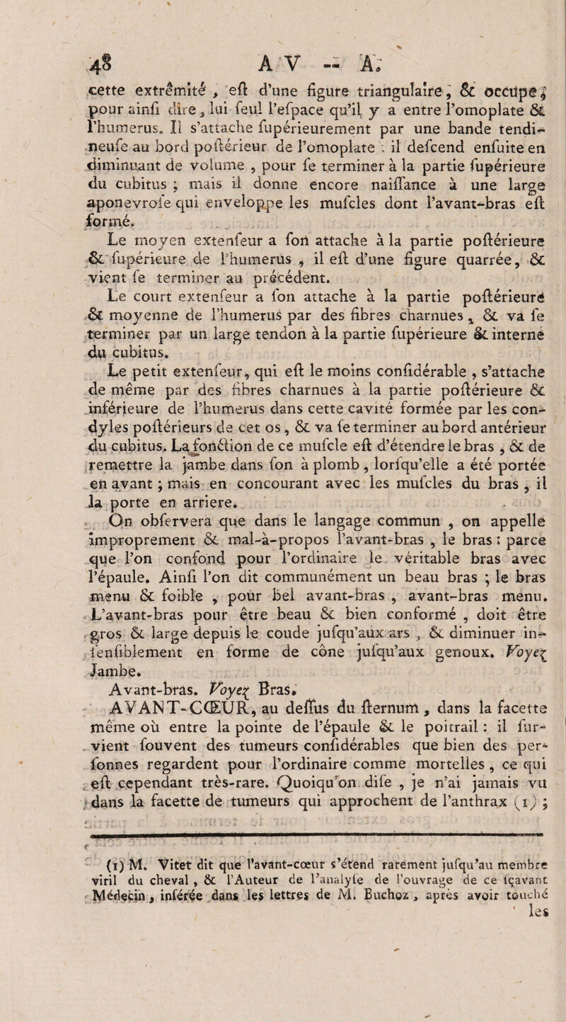 cette extrémité , efi d’une figure triangulaire, & occupe,* pour ainfi dire , lui feul l’efpace qu’il y a entre l’omoplate &. rhtimerus* Il s’attache fupérieurement par une bande tendi- neufe au bord poftérieur de l’omoplate . il defcend enfuiteen diminuant de volume , pour fe terminer à la partie fupérieure du cubitus ; mais il donne encore naiflance à une large aponevrole qui enveloppe les mufcles dont l’avant-bras eft formé. Le moyen extenfeur a fon attache à la partie poftérieure & fupérieure cle l’humerus , il efi d’une figure quarrée, ôc vient fe terminer au précédent. Le court extenfeur a fon attache à la partie poftérieuré ,& moyenne de l’humerus par des fibres charnues, & va fe terminer par un large tendon à la partie fupérieure &. interne du cubitus. Le petit extenfeur, qui efi le moins confidérable , s’attache de même par des fibres charnues à la partie pofiérieure & inférieure de l’humerus dans cette cavité formée par les con- dyles pofiérieurs de cet os, & va fe terminer au bord antérieur du cubitus. Lafonélion de ce mufcle efi: d’étendre le bras , & de remettre la jambe dans fon aplomb, lorfqu’elle a été portée en avant ; mais en concourant avec les mufcles du bras , il la porte en arriéré. On obfervera que dans le langage commun , on appelle improprement & mal-à-propos l’avant-bras , le bras : parce que l’on confond pour l’ordinaire le véritable bras avec l’épaule. Ainfi l’on dit communément un beau bras ; le bras menu & foible , pour bel avant-bras , avant-bras menu. L’avant-bras pour être beau & bien conformé , doit être gros & large depuis le coude jufqu’aux ars , & diminuer in- ïéafiblement en forme de cône jufqu’aux genoux. Foye£ Jambe* Avant-bras. Paye£ Bras* AVANT-CCEUR, au defifus du fiernum , dans la facette même où entre la pointe de l’épaule le poitrail : il fur- vient fouvent des tumeurs considérables que bien des per- fonnes regardent pour l’ordinaire comme mortelles , ce qui efi cependant très-rare. Quoiqu’on dife , je n’ai jamais vu dans la facette de tumeurs qui approchent de l’anthrax (i) ; (i) M. Vitet dit que l’avant-cœur s’étend rarement jufqu’au membre viril du cheval , & l’Auteur de l’analylè de l’ouvrage de ce fçàvant Médecin, inférée dans les lettres de M. Buchoz , après avoir touché ’ les