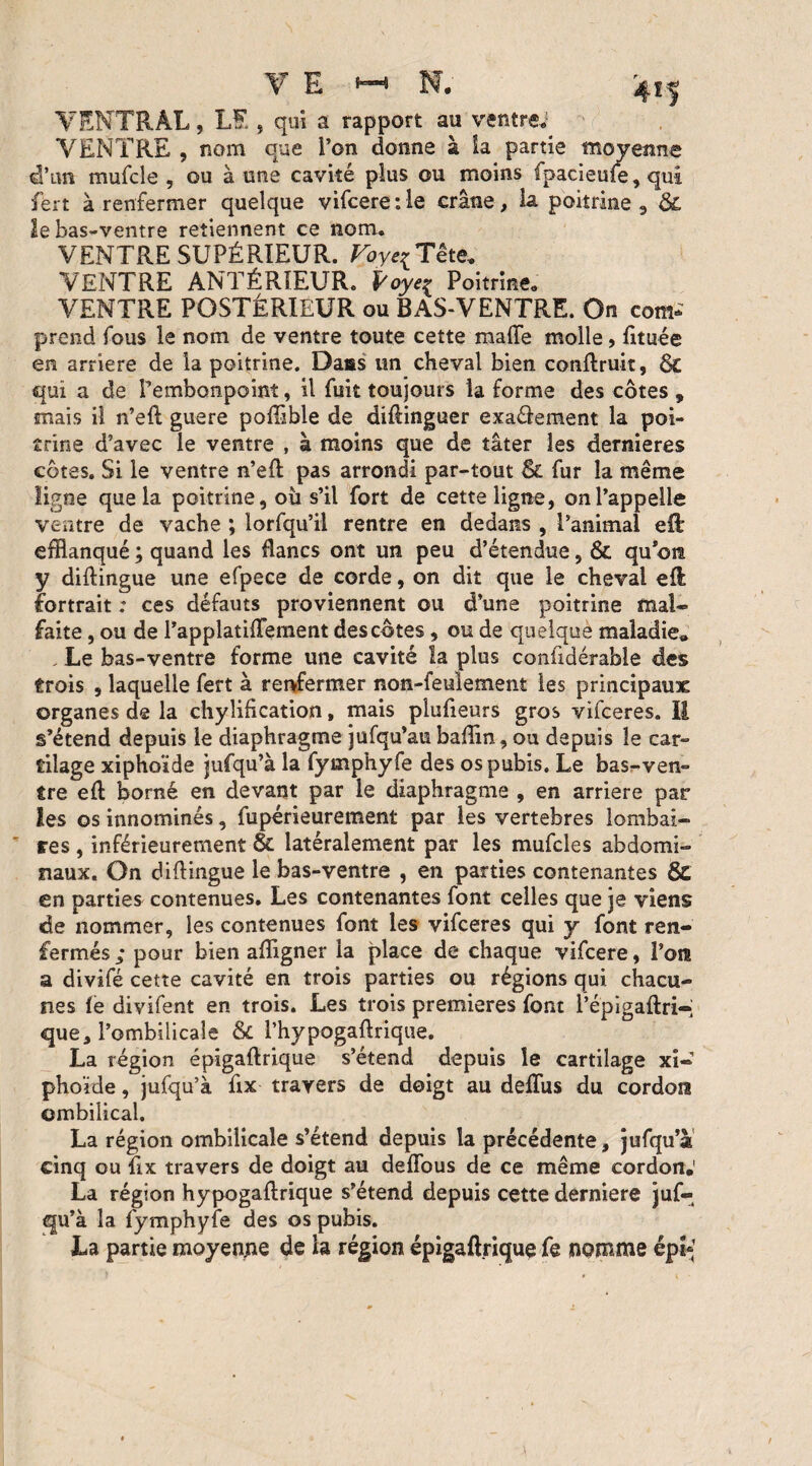 VENTRAL, LE , qui a rapport au ventre* VENTRE , nom que Ton donne à la partie moyenne d’un mufcle , ou à une cavité plus ou moins fpacieuïe, qui fert à renfermer quelque vifceretle crâne, la poitrine, & le bas-ventre retiennent ce nom* VENTRE SUPÉRIEUR. Voye^Tête* VENTRE ANTÉRIEUR. Poye^ Poitrine. VENTRE POSTÉRIEUR ou BAS-VENTRE. On com¬ prend fous le nom de ventre toute cette malle molle, fituée en arriéré de la poitrine. Dass un cheval bien conftruit, qui a de Pembonpoint, il fuit toujours la forme des côtes , mais il n’eft guere poffible de diftinguer exaélement la poi¬ trine d’avec le ventre , à moins que de tâter les dernieres côtes. Si le ventre n’eft pas arrondi par-tout &. fur la même ligne que la poitrine, oîi s’il fort de cette ligne, on l’appelle ventre de vache ; lorfqu’il rentre en dedans , l’animal eft efflanqué ; quand les flancs ont un peu d’étendue, & quom y diftingue une efpece de corde, on dit que le cheval eft formait : ces défauts proviennent ou d’une poitrine mal¬ faite , ou de l’applatilTement des côtes, ou de quelque maladie» , Le bas-ventre forme une cavité la plus confidérable des trois , laquelle fert à renfermer non-feulement les principaux organes de la chylification, mais plufieurs gros vifceres. II s’étend depuis le diaphragme jufqu’au badin, ou depuis le car¬ tilage xiphûïde jufqu’à la fymphyfe des os pubis. Le bas-ven¬ tre eft borné en devant par le diaphragme , en arriéré par les os innommés, fupérieurement par les vertebres lombai¬ res , inférieurement & latéralement par les mufcles abdomi¬ naux. On diftingue le bas-ventre , en parties contenantes & en parties contenues. Les contenantes font celles que je viens de nommer, les contenues font les vifceres qui y font ren¬ fermés ; pour bien aftigner la place de chaque vifcere, l’ora a divifé cette cavité en trois parties ou régions qui chacu¬ nes le divifent en trois. Les trois premières font l’épigaftri-; que, l’ombilicale & l’hypogaftrique. La région épigaftrique s’étend depuis le cartilage xi- phoïde, jufqu’à fix travers de doigt au deftus du cordon ombilical. La région ombilicale s’étend depuis la précédente, jufqu’à cinq ou ftx travers de doigt au deffous de ce même cordon.1 La région hypogaftrique s’étend depuis cette derniere juf¬ qu’à la fymphyfe des os pubis. La partie moyenne de la région épigaftrique fe nomme épi*