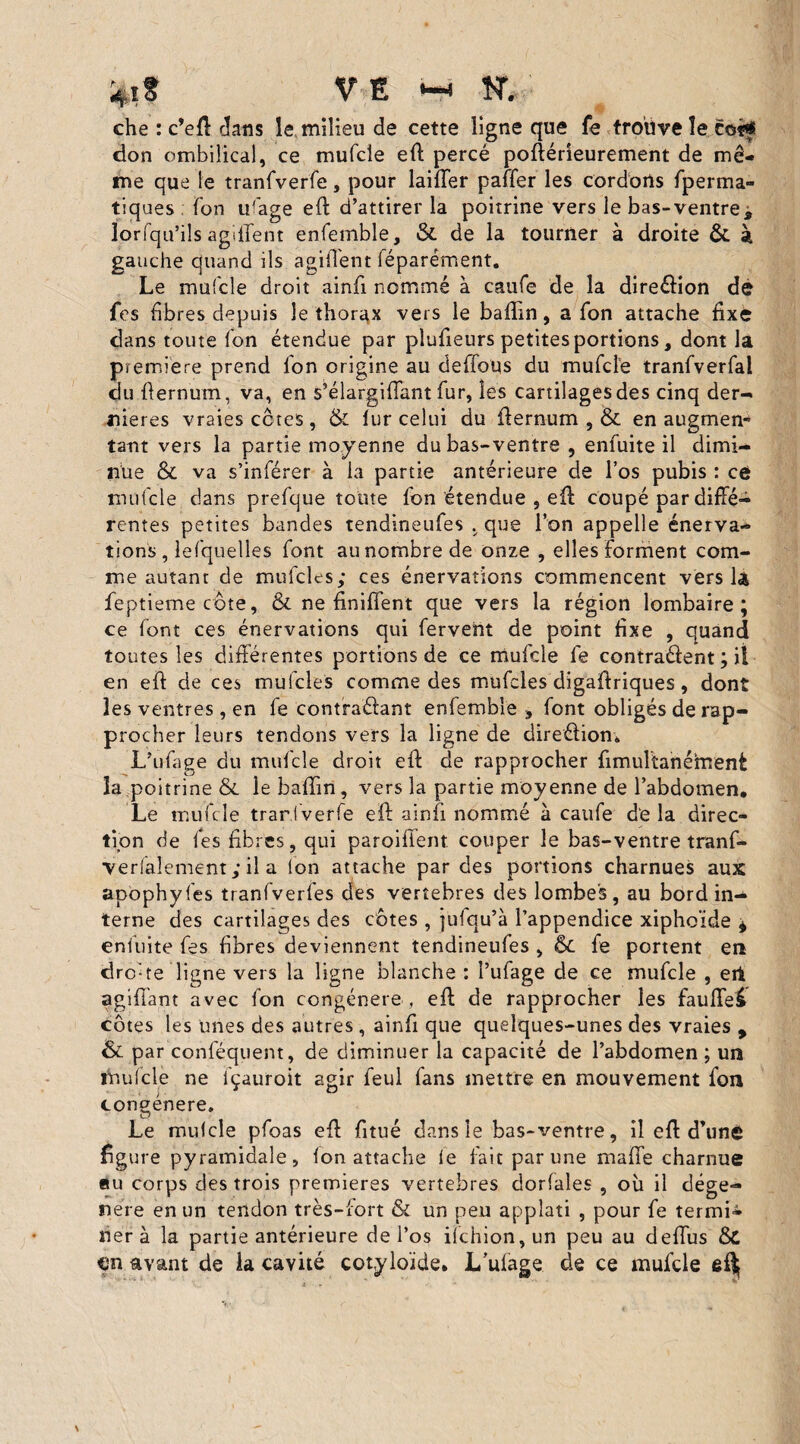 che : c’efl dans le milieu de cette ligne que fe trouve le coif don ombilical, ce mufcie efl percé poflérieurement de mê¬ me que le tranfverfe, pour laiffer paffer les cordons fperma- tiques Ton u(age efl d’attirer la poitrine vers le bas-ventre j lorsqu’ils agiilent enfemble, &. de la tourner à droite & à gauche quand ils agiilent féparément. Le mufcie droit ainfi nommé à caufe de la direélion dé fes fibres depuis le thorax vers le baffin, a Ton attache fixé dans toute fon étendue par plufieurs petites portions, dont là première prend Ion origine au défions du mufclé tranlverfal du flernum, va, en s’élargiflant fur, les cartilages des cinq der¬ nières vraies côtes , & fur celui du flernum , & en augmem tant vers la partie moyenne du bas-ventre , enfuite il dimi¬ nue & va s’inférer à la partie antérieure de l’os pubis : ce mufcie dans prefque toute fon étendue , ell coupé par diffé¬ rentes petites bandes tendineufes , que l’on appelle énerva¬ tions , lesquelles font au nombre de onze , elles forment com¬ me autant de mufcles; ces énervations commencent vers là feptieme côte, & ne Unifient que vers la région lombaire; ce font ces énervations qui fervent de point fixe , quand toutes les différentes portions de ce mufcie fe contrarient ; il en efl de ces mufcles comme des mufcles digaflriques, dont les ventres, en fe contrariant enfemble , font obligés de rap¬ procher leurs tendons vers la ligne de direction» L’ufage du mufcie droit efl de rapprocher fimultanémeni la poitrine & le baffin, vers la partie moyenne de l’abdomen. Le mufcie trarlverfe eil ainfi nommé à caufe delà direc¬ tion de fes fibres, qui parodient couper le bas-v entre tranf- verfalement ; il a (on attache par des portions charnues aux apophyfes tranfverfes des vertebres des lombes, au bord in¬ terne des cartilages des côtes , jufqu’à l’appendice xiphoïde * enfuite fes fibres deviennent tendineufes , ÔC fe portent en drc-te ligne vers la ligne blanche : I’ufage de ce mufcie , ert agiffant avec fon congénère , efl de rapprocher les fauffei côtes les unes des autres , ainfi que quelques-unes des vraies , & par conféquent, de diminuer la capacité de l’abdomen ; un ihufcle ne lçauroit agir feul fans mettre en mouvement fon congénère» Le mulcle pfoas efl fitué dans le bas-ventre, il efl d’uné figure pyramidale, fon attache fe fait par une maffe charnue «tu corps des trois premières vertebres dorfales , où il dégé¬ néré en un tendon très-fort & un peu appîati , pour fe termi¬ ner à la partie antérieure de l’os ifchion,un peu au deffus Sc en avant de la cavité cotyloïde. L’ufage de ce mufcie