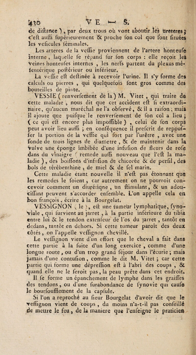 ( '4%o t E m S, de diftance ) , par deux trous où vont aboutir les Üreteres \ c’efl: aufii fupérieurement & proche fon col que font fituées les veficules féminales. Les arteres de la vefïie proviennent de l’artere honteufe interne , laquelle fe répand fur fon corps : elle reçoit le& Veines honteufes internes , les nerfs partent du plexus me* ientériaue poftérieur ou inférieur. La vefïie eft defïinée à recevoir l’urine. Il s’y forme des calculs ou pierres , qui quelquefois font gros comme des bouteilles de pinte. , , VESSIE ( renverferhent dèla)M. Vitet , qui traite de cette maladie , nous dit que cet accident eft fi extraordi¬ naire, qu’aucun maréchal ne l’a obfervé, & il a raifon ; mais» il ajoute que puifque le renverfement de fon col a lieu; ( ce qui eft encore plus impoflible ) , celui de fon corps peut avoir lieu auffi ; en conféquence il prefcrit de repouf- îer la portion de la veffie qui fort par l’urêtre , avec une fonde de trois lignes de diamètre , Sc de maintenir dans îa Vulve une éponge imbibée d’une infufion de fleurs de rofe dans du vinaigre ( remede aufti nouveau que l’eft la ma¬ ladie ), des boiffons d’infufion de chicorée & de perfil, des bols de térébenthine «, de miel & de fel marin. Cette maladie étant nouvelle il n’eft pas étonnant que les remedes le foient , car autrement on ne pourroit con» cevoir comment un diurétique , un ftimulant, & un adou- ciffant peuvent s’accorder enfembîe. L’on appelle cela eri bon françois , écrire à la Bourgelat. VESSIGNON v le ), eft une tumeür lymphatique, fyno- Viale , qui furvient. au jarret , à la partie inférieure du tibia entre lui & le tendon extenieur de l’os du jarret , tantôt en dedans, tantôt en dehors. Si cette tumeur paroît des deux côtés, on l’appelle veftignon chevillé. ' Le vellignon vient d’un effort que le cheval a fait dans cette partie à la fuite d’un long exercice , comme d’une longue route, ou d’un trop grand féjour dans l’écurie ; mais jamais d’une contufion, comme le dit M. Vitet; car cette partie qui forme une déprefïion eft à l’abri des coups , quand elle ne le feroit pas, la peau prête dans cet endroit* Il fe forme un épanchement de lymphe dans les grailles des tendons, ou d’une furabondance de fynovie qui cauf© le bourfoufflement de la capfule. Si l’on a reproché au fieur Bourgelat d’avoir dit que le veffignoii vient de coups , du moins n’a-t-il pas confeillé de mettre le feu, de la maniéré que l’enfeigne le praticien
