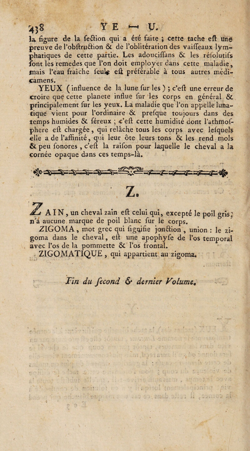 -43 S ■ Y E i—« U. la. figure de la feélion qui a été faite ; cette tache eft un^ preuve de l’obftruétion & de l’oblitération des vaifleaux lym¬ phatiques de cette partie. Les adouciflans & les réfolutifs font les remedes que l’on doit employer dans cette maladie , jnais l’eau fraîche feul$ efl préférable à tous autres médi- Camens. YEUX ( influence de la lune fur les ) ; c’efl une erreur de croire que cette planète influe fur les corps en général & principalement fur les yeux. La maladie que l’on appelle luna¬ tique vient pour l’ordinaire & prefque toujours dans des temps humides & féreux ; c’eft cette humidité dont l’athmof- phere eft chargée, qui relâche tous les corps avec lefquels «lie a de l’affinité, qui leur ôte leurs tons &. les rend mois &. peu fonores , c’efl: la raifon pour laquelle le cheval a la cornée opaque dans ces temps-là. JL* AIN, un cheval zain efl celui qui, excepté le poil gris; n’a aucune marque de poil blanc fur le corps. ZIGOMA, mot grec qui figffifie jon&ion , union : le zi- goma dans le cheval, efl une apophyfe de l’os temporal avec l’os de la pommette &, l’os frontal. ZIGOM AT 1QUE , qui appartient au zigoma. • ■ V •• / .• ^ Fin du fécond & dernier Volume»