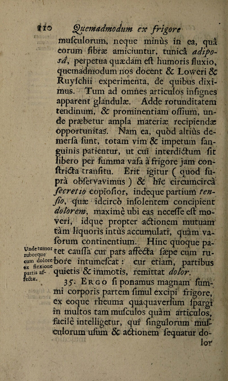 mufeulorum, neque minus in ea, qu& eorum fibrse amiciuntur, tunicS. adtpo- sd, perpetua quasdam eft humoris fluxio, quemadmodum nos docent & Lovveri & Ruylchii experimenta, de quibus dixi¬ mus. Tum ad omnes articulos infimi es apparent glandulae. Adde rotunditatem tendinum, & prominentiam oilium, un¬ de praebetur ampla materiae recipienda? opportunitas. Nam ea, quod altius de- merfa funt, totam vim & impetum fan- guinis patientur, ut cui interdidum fit libero per fumma vafa a frigore jam con- ftrida tranfitu. Erit igitur ( quod fii- pra obfervavimus ) & hic circumcirca fecretio copiofior, indeque partium ten- Jio, quae idcirco infolentem concipient dolorem, maxime ubi eas necefle eft mo¬ veri, idque propter adionem mutuam tam liquoris intus accumulati, quam va- fiuum continentium., Hinc quoque pa- Sorque101 ret caufta cur pats afFecfta ftepe cum ru- cam doiore 50fe intumefcat: eur etiam, partibus paras af- quietis oc immotis, remittat dolor. 35*. Ergo fi ponamus magnam fimi- mi corporis partem fimul excipi frigore, ex eoque rheuma quaquaverium Ipargi in multos tam mufculos quam articulos, facile intelligetur, qui Angulorum muf Culorum ufum & adionem fequatur do¬ lor feftae