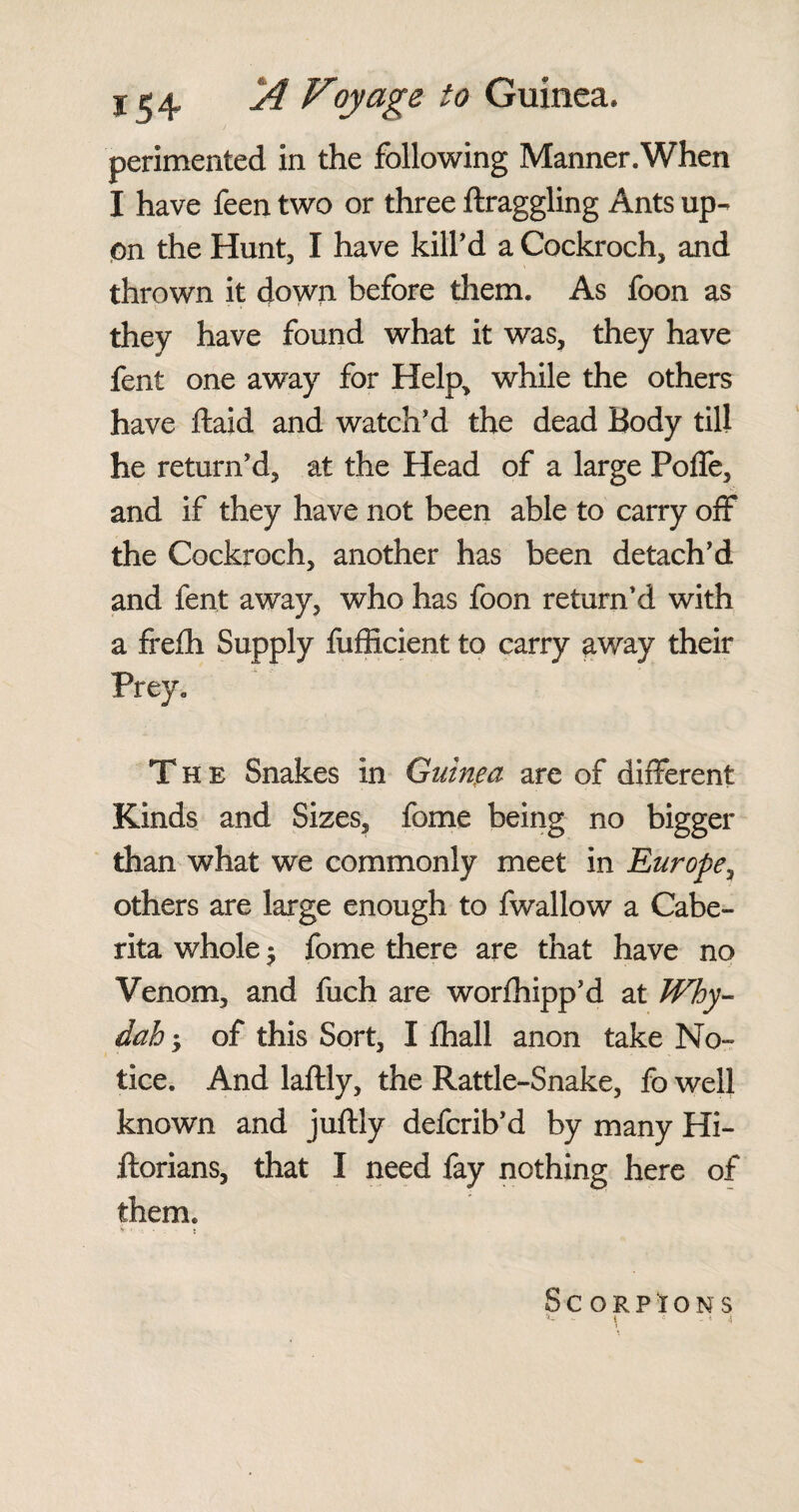 perimented in the following Manner.When I have feen two or three ftraggling Ants up¬ on the Hunt, I have kill’d a Cockroch, and thrown it down before them. As foon as they have found what it was, they have fent one away for Help, while the others have ftaid and watch’d the dead Body till he return’d, at the Head of a large Polfe, and if they have not been able to carry off the Cockroch, another has been detach’d and fent awray, who has foon return’d with a frelh Supply fufiicient to carry away their Prey. The Snakes in Guinea are of different Kinds and Sizes, fome being no bigger than what we commonly meet in Europe, others are large enough to fwallow a Cabe- rita whole; fome there are that have no Venom, and fuch are worfhipp’d at Why- dah; of this Sort, I fhall anon take No¬ tice. And laftly, the Rattle-Snake, fo well known and juftly defcrib’d by many Hi- ftorians, that I need fay nothing here of them. Scorpions