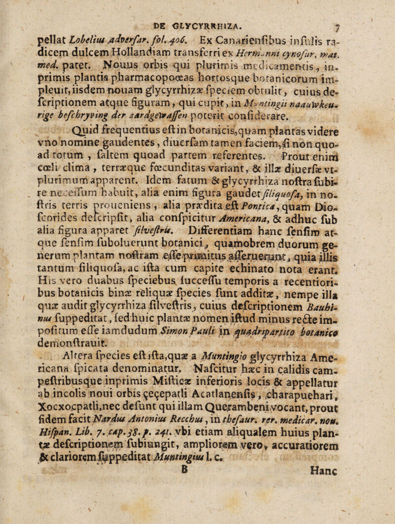 pellat Lobdtiu Adverfar. fol. 406, Ex Canarienfibus infulis ra¬ dicem dulcem Hollandiam transferri ex Hertn-mm cymfur, mas, med. patet. Noujus .orbis qui plurimis medicamemis., i*u primis plantis pharmacopolas hoitos.que 'botanicorum inv pleuit, iisdem nonam glycyrrhizsr fpeciem obtulit, cuius de- fcriptionem atque figuram, qui cupit, inmingit naauwkeu- rige befchrymng der aardge&ajfen poterit confiderace. Quid frequentius eftin botanicis.quam plantas videre vno nomine gaudentes, diuerfarn tamen faci em, fi non quo¬ ad totum , faltem quoad partem referentes. Prout enim corii clima , terraeque fecunditas variant, 6c i flas diuerfie v£« plurimumapparent. Idem fatum &gtycy-rrhiza noftra-fiibi- re neceilum habuit, alia enim figura gaudetfiiiquofa^ in no- ftris terris proueniens , alia prxdita eR Pontica, quam Dio» fcorides deicripfit, alia confpicitur Americana,& adhuc fub alia figura apparet ftlveftrti. Differentiam hanc fenfim at¬ que fenfim (oboluerunt botanici^ quamobrem duorum ge¬ nerum plantam noRram .elle^prsmkii^ .-quia illis tantum filiquofa, ac ifta cum capite echinato nota erant* His vero duabus fpeciebus lucceflu temporis a recentiork bus botanicis binae reliquar fpecies funt addita, nempe illa qnx audit glycyrrhiza itlveftris , cuius defcriptionem BauhU niu fuppeditat, (ed huic planta nomeniftud minusrefite im» politum e (Te iamdudum .$mpn JP-mly ;iji .^uadrfmk® htanwQ demonftrauit. Altera fpecies eftrfta,qu$e a Mantmgio glycyrrhiza Ame¬ ricana fpicaia .denominatur, Nafcitur haec in calidis cam. peftribusque inprimis Miftioac inferioris Sacis 6t appellatur ab incolis noui orbis gecjepatli Acatlanmfis, 'oharapuehari, Xocxocpatlbnec defunt qui illam Quefambeniyocant, prout fidem facit Nardus Antonius Recehta, m thefaun rer. medicar, non* Hifpan. Lib. 7. cap.tf.f, 241, ybi etiam aliqualem huius plan¬ tae defcriptionem fiubiungit, ampliorem vero^ accuratiorem & clarioremff ppeditat Mumingim L c@ B Hanc