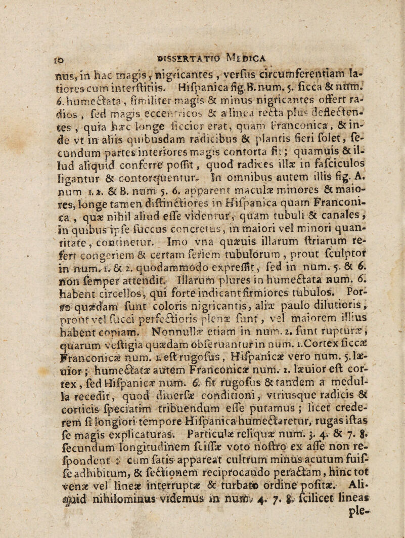 IO jrmsyin hac magis y nigricantes , verius circumferentiam la¬ tiores cum mterftitm. Hifpanlca itg.B. mim. 5. ficca & htfrni &humeftata , Ornilifer magis & minus nigricantes'offert ra¬ dios-, fed magis eccenrricos & aflinca reda plus defle flen¬ tes r quia hatc longe fi celor erat, quam Fran conica, Scin¬ de vt in aliis quibusdam radicibus 6t plantis fieri folet, fe¬ cundum partesdnteriores magis contorta fit; quamuis & il¬ lud aliquid conferre' polfit, quod radices illse in fafciculos ligantur & contorquentur. In omnibus autem illis fig. A. num r.*. & B. rmm 5. 6. apparent maculae minores &maio- res, longe tamen diffinfliores in Hiipanica quam Franconi- ca , quae nihil aliud e fle videntur quam tubuli & canales, in quibus ipfe fuccus concretus, in maiori vel minori quan¬ titate ,continetur. Imo vna quaeuis illarum ftriarum re¬ fert congeriem & certam feriem tubulorum , prout fculptor in numdo 8t 2, quodammodo expreffit, fed in num. 5. & 6. non fefnper attendit.; Illarum plures in hume flata num. 6. habent circellos, qui forte indicant firmiores tubulos. Por- f® quadam funt coloris nigricantis, alite paulo dilutioris, prout vel fucci perfeflioris plenae funt, vel maiorem ilhus habent copiam. Nonnulla? etiam in num. u funt rupturae * quarum veftigia quadam obferuanturin num. 1.Cortex iicc£ Franeonicse num. 1. eft'rugo fas, Hifpanicse vero num. 5. lae- uior; humeflatx autem Ffatieohicac num. 2. teuior eft cor¬ tex, fed Hifpaniea’ num. 6v fit rugofus & tandem a medul¬ la recedit, quod diuerfse conditioni , vtriiisque radicis 8t corticis fpedatim tribuendum e fle’ putamus ; licet crede¬ rem fi longiori tem pore Hifpaniea humeflaretur, rugas iftas fe rhagis explicaturas. Particulae reliquat num. 3. 4. 8c 7. 8. fecundum longitudinem fciffae voto noftro ex afle non re- fpondent < cum fatis appareat cultrum minus acutum fu i fi fe adhibitum, & fe A ion em reciprocando peraflam, hinc tot venx vel lineae interrupta: 6c turbat» ordine pofitae. Ali- ^uid nihilominus videmus in nvMsv 4. 7. 80 fcilicec lineas ple-