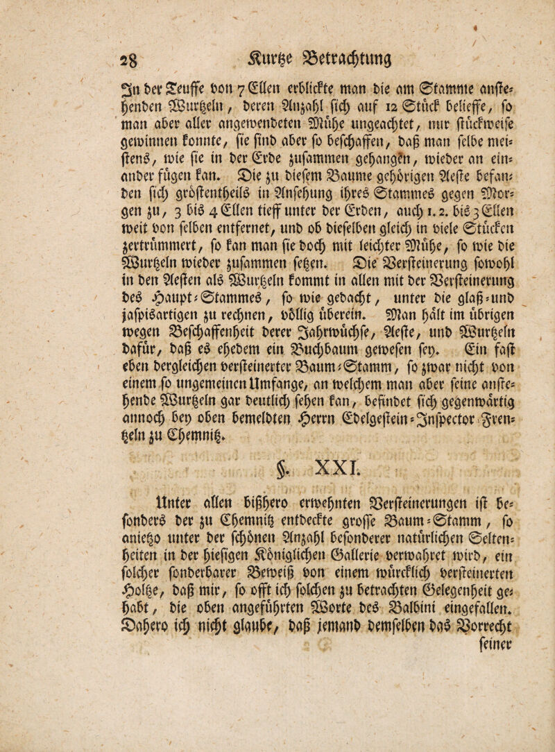 2n bet* Seuffe ton 7 (Ellen erblicfte mein bte am Stamme an#e? Renten Sßur|elu, beren 5(njof)l ftcf> auf 12 ©tücf DeHeffe, fo man ater aller angewenbeten 591ülje ungeachtet, nur fh'tcfweife gewinnen fonnte, fte ftttb aber fo befefjaffett, baf man feite met* jfenl, wie fte in ber (Erbe jufammen gehangen, wieber an ein* anber fugen fan. £)te ju tiefem 23aume gehörigen Slejle befan« ben ftef) grbjfentfjeill in ?lnfehung iljrel ©tammel gegen SRor* gen ju, 3 E>tö 4<££Ien tieff unter Der (Erben, auch••2* bis 3 (Ellen weit ton feiten entfernet, unb ot biefelbeit gleich in Piele Stücfen zertrümmert, fo fan man fte boch mit leichter SÖhtfje, fo wte bie SÖurfjetn wieber jufammen fe|en. Sie SSerjfeitterung fowohl in ben Slejfett all 9Bur|eIn fommt tn allen mit ber SBerjfeinerung bei Jpaupt«0tammel, fo wie gebacht, unter bie glap=uttb jafpilartigen ju rechnen, obllig üferetn. SUan halt tm übrigen wegen 23efcf)ajfenljeit berer ^aljrmüchfe, Slefte, unb SBurheln bafür, bah el eljebem ein Suchbaum gewefen fet>. (Ein fafl eben begleichen oerffeinerter 25aum«Stamm, fo zwar nicht ton einem fo ungemeinen Umfange, an welchem man aber feine anfre* henbe SBur|eln gar betulich fejjen fan, teftnbet fiel) gegenwärtig anttoch bep oben bemelbten c^errn (Ebelge|tein=^n|pector gren* tjeln z« €hemnt|. §, XXI. Unter allen bihh^o erwehnfen SSerjlet'tterungen tff he* fonberl ber $u €hemni§ entbeefte grojfe S3aum=Stamm, fo ame|o unter ber fchonett Slnzafjl befonberer natürlichen Selten* heiten in ber {jieftgen $ü>ntgttchen ©alterte perwahret wirb, ein foldjer fonberbarer 23eweifj ton einem würcflidj berfteinertett #ol|e, bah wir, fo offt ich folgen ju betrachten ©elegenfjeit ge« habt, bie oben angeführten SSorte bei Salbtnt eingefallen. Sah w nicht glaube bah jemanb bemfelbm bal Vorrecht feiner