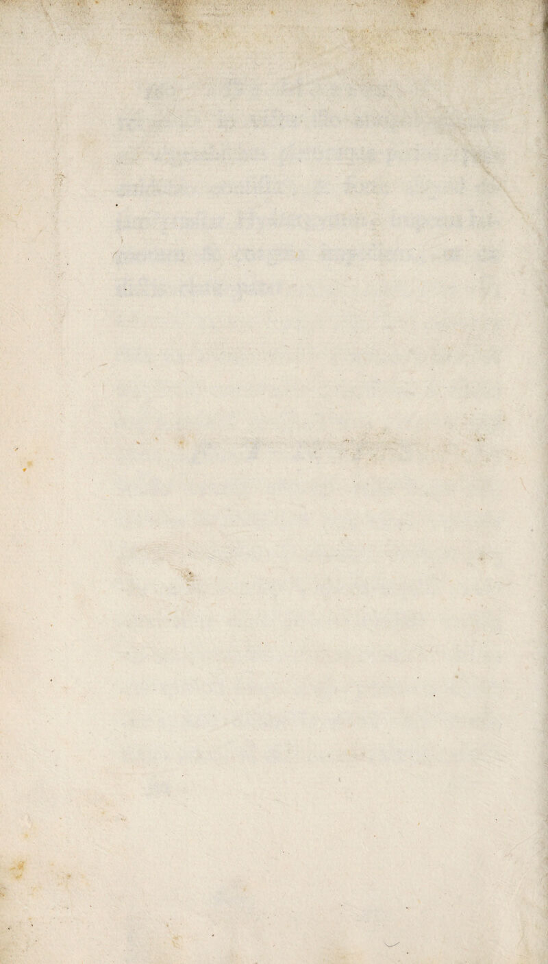 ... • « . ' ■ I' \ ' 1 v . v *