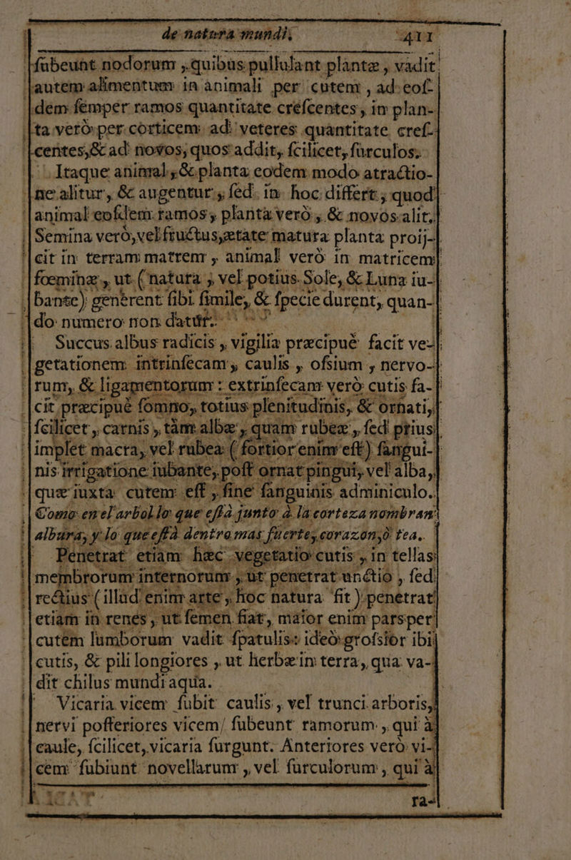 rr e a TS MA A RRA &gt; . y 0 &gt; A a E AAN A A Ta Pr Gar FbcUnE nodorum ,quibas pu pullula: nt plante, vadit. autem alimentuer ia animal per cutem, ad: eof- ta veró»per.corticem: ad!'veteres quantitate cref.| : centes, 80 ad' novos, quos addit, fcilicer,furculos: . Iraque aniaral ¿Se planta codem: modo atraltio- ne alitur, 62 aygentur: y (féd. in hoc differt.; quod] aqimoldeir ramos, planta veró, Se movos alit, | Semina vero, velfiudtus,etate matura planta proi j-1 cit in: terram matrenr » animal veró: in matriceny| foeming, ut: E natura , vel potius. Sole, Sc Luna lu- ba nte) gentrent fibi fimile, 5 e [pecie durent, qn a numero non datik. 7 Succus. albus radicis, » vigilia precipué facit vez ENtorunT : : extrinfecant vero: cutis; fa- rum, $ ligamer E ARES AN ón ea de Partio ie rigatione inbante, poff ornat ping que] juxta: cutenr ile &gt; fine: 4 pued hdr y internorunt, ut e Errar anétio, fed AY . Mintart es y hoc natura fit); penetra ' y) , ut femen fiat, maior enim parsper] umborum vadit. fpatuliso ided»grofsiór ¡bi dit chilus mundi aqua. . Í Vicaria vicenr fubit: caulis., vel trunci .arboris, nervi —pofteriores vicem/ fabebnt ramorum: , qui Al caule, fcilicet, vicaria furgunt. Anteriores vero vi-] cen fubiunt: novellarunt y vel furculorun» , qui a] TIO si A.