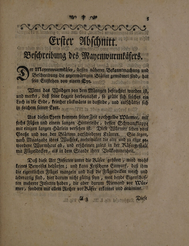 187 13 Wie K&amp;K — 5 * „ ‚A * 3 9 . — h 17 — we 25 18 Eri ter! chnitt A 1 \ J 11 ei oe OBEN N . Si nu Roma 100 3 fein: Enifehen o von 3 a 5 1 Wenn das Weibgen von dem Mt naen U worden if, und merket, daß feine Legzeit herbeynahet, ſo gräbt ſich ſolches ein Loch in die Erde, kriechet 5 in 51 ‚ N RR fü ch tn foihem ſeiner Eper. ert n sin alt are 05 Aus diefeh Ehern fac (her zit che ihre) mit ſechs Füßen und einem langen Hinterleibe deſſen Schroanzklap pe mit einigen langen Haͤrlein verſehen iſt. Dieſe Würmer leben 1 5 Graße und von den Blaͤtte ae ie Kraͤuter. Sie legen, nach Maasgabe ihres Wuchſes, mehrmalen die alte und zu enge ge⸗ wordene Wurmhaut ab, und, erfcheinen zulezt in der Kifergeſtalt mit Flügeldecken, als in dem Stande ihrer Vollkommenheit. Daß dieſe Art Inſectem unter die Nöfer gehoͤret wird wohl keines Beweiſes bedürfen; und kann Sriſchens Einwurf, daß ihm die eigentlichen Flügel mangeln und daß die Flügeldecken weich und lederartig ſind, hier darum nicht gültig ſeyn, weil beyde Eigenſchaf⸗ ten mehrere Inſecten haben, die aber darum Niemand vor Wuͤr⸗ mer fondern mit allem Rechte vor Räfer erkennet und anuimmt. A ‚a 2 3 NM. 1. 16771097 Dieſe 2 54 . ,