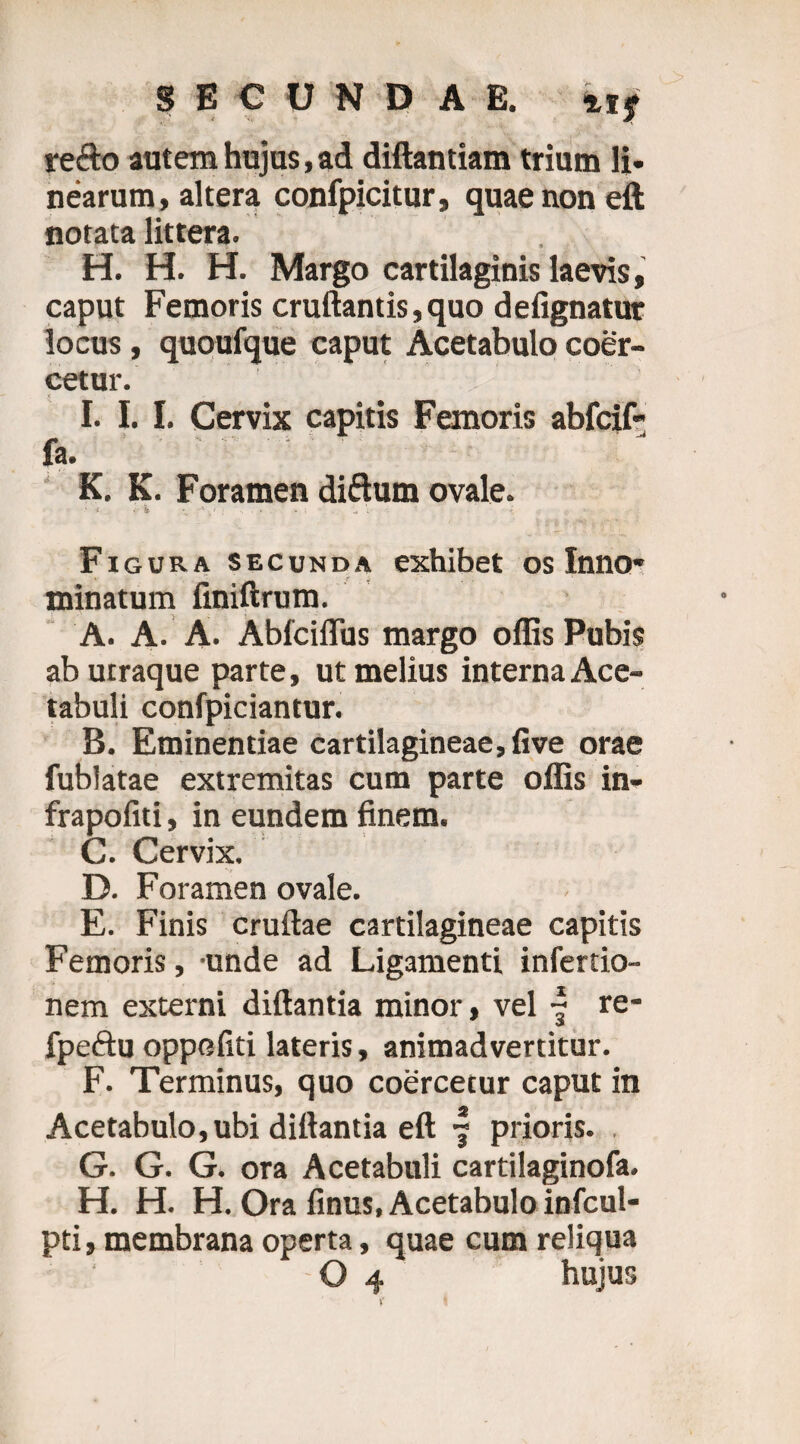 refto autem hujus, ad diftantiam trium li¬ nearum, altera confpicitur, quae non eft notata littera. H. H. H. Margo cartilaginis laevis, caput Femoris cruftantis, quo defignatur locus, quoufque caput Acetabulo coer¬ cetur. I. I. I. Cervix capitis Femoris abfcif- fa. K. K. Foramen di&um ovale. ‘ * *' & A *■.» i» i- * «• Figura secunda exhibet os Inno¬ minatum finiftrum. A. A. A. Abfciflus margo ollis Pubis ab utraque parte, ut melius interna Ace¬ tabuli confpiciantur. B. Eminentiae cartilagineae, live orae fublatae extremitas cum parte offis in- frapoliti, in eundem finem. C. Cervix. D. Foramen ovale. E. Finis cruftae cartilagineae capitis Femoris, unde ad Ligamenti inlertio- nem externi diftantia minor, vel f re- fpeftu oppofiti lateris, animadvertitur. F. Terminus, quo coercetur caput in Acetabulo, ubi diftantia eft | prioris. G. G. G. ora Acetabuli cartilaginofa. H. H. H. Ora finus, Acetabulo infcul- pti, membrana operta, quae cum reliqua