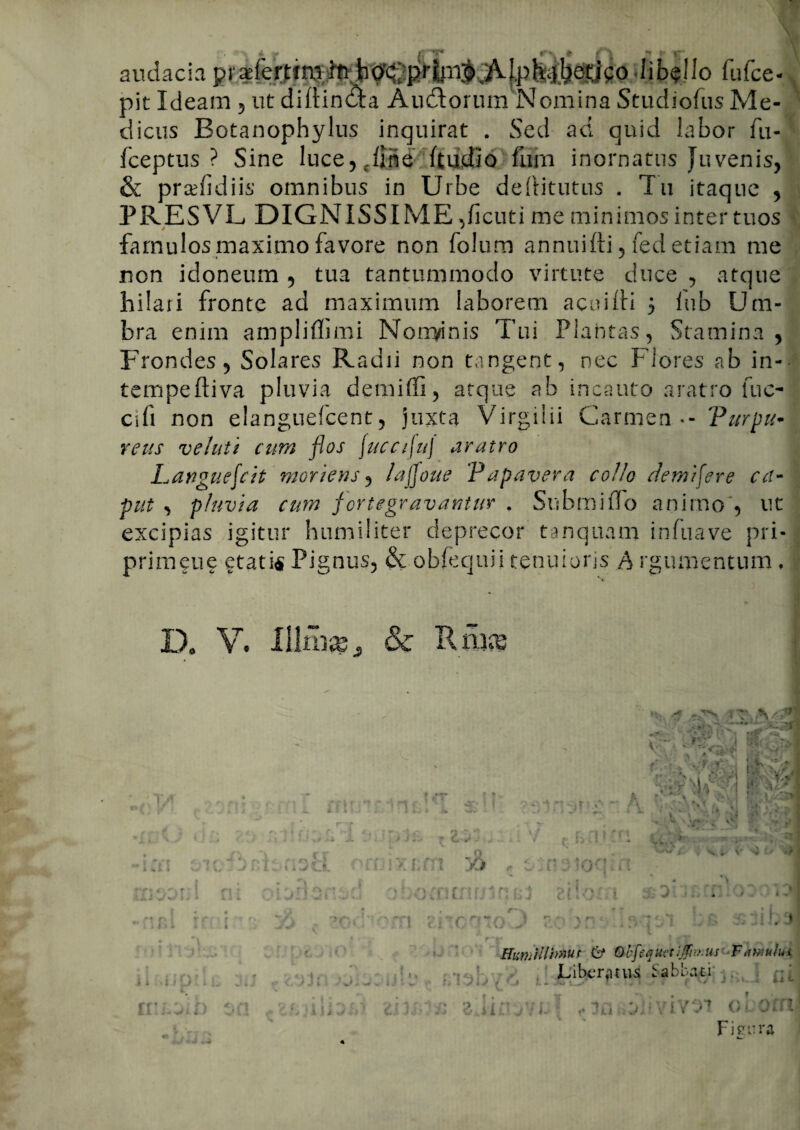 -*?* 'Y audacia prdibalo fufce- pit Ideam , ut diltindta Audlorum Nomina Studiofus Me¬ dicus Botanophylus inquirat . Sed ad quid labor fu- fceptus ? Sine luce,,line ftudio furn inornatus Juvenis, & pradidiis omnibus in Urbe deftitutus . Tu itaque , PRESVL DIGNISSIME ,ficuti me minimos inter tuos famulos maximo favore non lolum annuifti, fed etiam me non idoneum , tua tantummodo virtute duce , atque hilari fronte ad maximum laborem acuilti 5 lub Um¬ bra enim ampliffimi Norryinis Tui Plantas, Stamina, Frondes, Solares Radii non tangent, nec Flores ab in- tempeftiva pluvia demiffi, atque ab incauto aratro fuc- cifi non elanguefcent, juxta Virgiiii Carmen Purpu¬ reus velati cum flos fucc/fuj aratro Languefcit moriens, lajfoue Papavera collo demisere ca¬ put , pluvia cum fer te gravamur . Snbmiflo animo , ut excipias igitur humiliter deprecor tanquam infuave pri- primeue etatis Pignus, & obfequii tenuioris A rgumentum. IX V. Ri T if E' v - *JL '*—*'*• . HJHl JsF V-~.• - ” / T «f hi' •O V1 Sil •’ • -H : „ n -4 ■ ' V;,; A 5;: iv , ;viST|;i fMj : ;n , ir '4 , 4 1 f c • J m t *■ 1 \ u j-*. * I v f ■ 7 • rv ; f « • I f'# SOd ■ \Wi' vv i M sr v v p rri r j > 1 I i L. i i JU-i ■/ i - • F f\ ' n f' r J n r* i pii/ * -J • -,j v.t .j i V/ s.I I 11II; 1 1 1 u j Ca iv Tt ClTC r^r | r* fi1 \ ^ lif on Humillimus & Qbjtquetijftruus Famulus ii U r < *. ,1. J f C V J n — „ 1J i ivilvc’ Sabl;at:'' 4