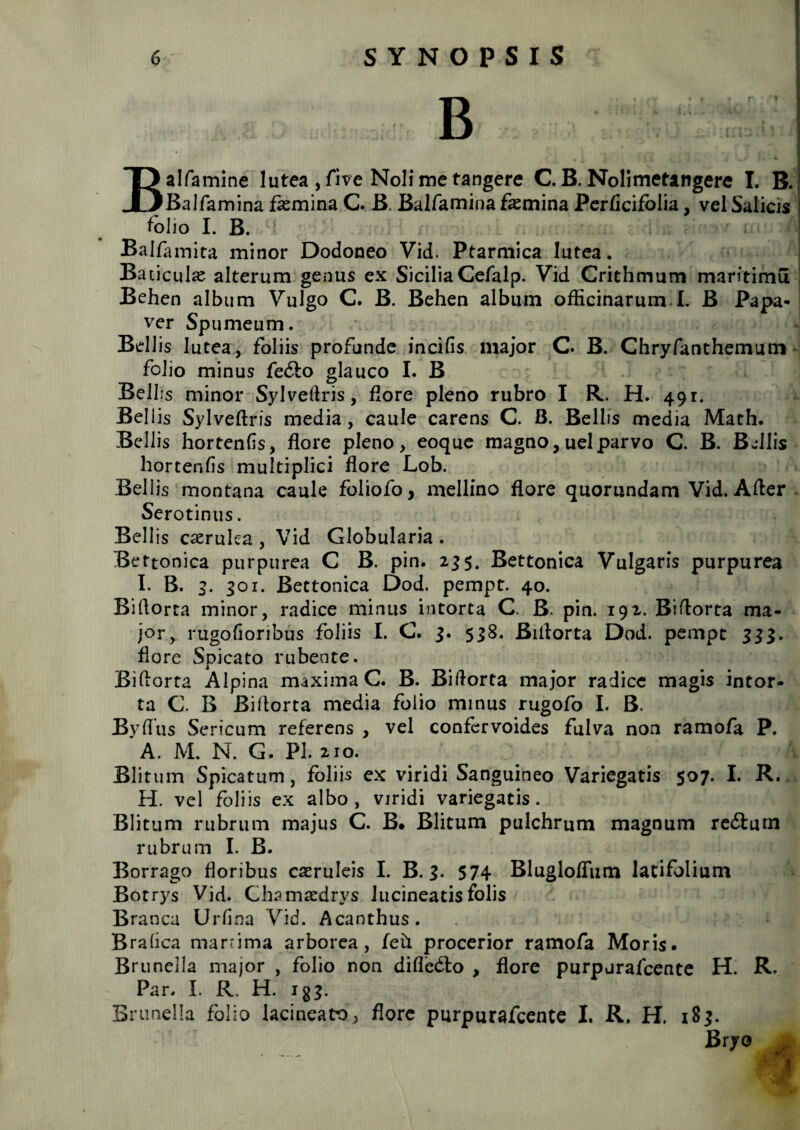 B • 4. ; J % » Ealfamine lutea , fi ve Noli me tangere C. B. Nolimetangere I. B. Balfamina faemina C. B. Balfamina faemina Perficifolia, vel Salicis folio I. B. Balfamita minor Dodoneo Vid. Ptarmica lutea. Baticulae alterum genus ex SiciliaCefalp. Vid Crithmum maritimu Behen album Vulgo C. B. Behen album officinarum I. B Papa¬ ver Spumeum. • < ^ . i y Bellis lutea, foliis profunde incifis major C. B. Chryfanthemum folio minus fedto glauco I. B Belbs minor Sylveftris, flore pleno rubro I R. H. 491. Bell is Sylveftris media, caule carens C. B. Bellis media Math. Bellis hortenfis, flore pleno, eoque magno,uelparvo C. B. Bfllis hortenfis multiplici flore Lob. Bellis montana caule foliofo, mellino flore quorundam Vid. After Serotinus. Bellis caerulea , Vid Globularia . Bettonica purpurea C B. pin. 235. Bettonica Vulgaris purpurea I. B. 3. 301. Bettonica Dod. pempt. 40. Biftorta minor, radice minus intorta C. B. pin. 192. Biftorta ma¬ jor, rugofioribus foliis I. G. 3. $38. Biftorta Dod. pempt 333. flore Spicato rubente. Biftorta Alpina maxima C. B. Biftorta major radice magis intor¬ ta C. B Biftorta media folio minus rugofo I. B. Byflus Sericum referens , vel confervoides fulva non ramofa P. 'A. M. N. G. Pl. 210. Blitum Spicatum, foliis ex viridi Sanguineo Variegatis 507. I. R. H. vel foliis ex albo, viridi variegatis. Blitum rubrum majus C. B. Blitum pulchrum magnum re&um rubrum I. B. Borrago floribus caeruleis I. B. 3. $74 BluglofTum latifolium Botrys Vid. Chamaedrys lucineatisfolis Branca Urfina Vid. Acanthus. Brabea marrima arborea, feh procerior ramofa Moris. Brunella major , folio non difledto , flore purpurafeente H. R. Par. I. R. H. ig3. Brunella folio lacineato, flore purpurafeente I. R. H. 183. Bryo .