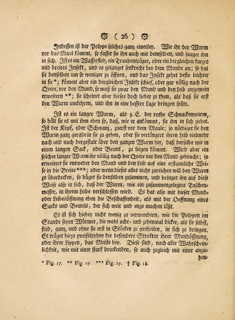 Snbefien iff bet ^olppe folches ganj einerlei). SEBie it>t bet gßurtn bor bacsSOTaul fommt, fo faflfct ftc itjn aud) mit Demfetben, unb fanget ihn in fiel). Sfleöein^affetflob, ein ^raubentreiger, ober ein Dergleichen furjeö mit) breites 3nfeft, unb eo gelanget fenfreebt bet) bem $?unbe an; fo bat fte benfelben um fo weniger 511 Offnen, unb bas 3'nfeft gebet Defto leichter in fte *; fommt aber ein Dergleichen 3nfeff febief, ober gar »oflig nad) ber £löcre,»or ben SOfunb, fo mufj fte jwar ben SJlunb unb DenSeib ungemein erweitern **; fte febeinet aber biefeo boeb lieber ju fbun, als bafj fte erft ben SOBurrn umfebren, unb ibn in eine belfere Sage bringen folife. t3ft es ein langer SBurm, als j. <£. ber rofbe ©ebnaefenwurn», fo f>dlt fte es mit ibm eben fo, Daß, wie er anfömmt, fte ibn in ficb jiebef. 3ß ber $opf, ober ©cbwanj, juerft »or Dem SÜfaule; fo notbiget fte Den Sßurrn ganj gerabein fte ju geben, ober fte perlangert ihren Selb oielmebc nad) unb nad) Dergeftalt über ben ganjen 2Burm ber, baß bcrfelbe wie in einen langen ©aef, ober Beutel, ju liegen fommt. 2Birb aber ein folcber langer Sß trm it>r oollig nad) DerQoere oor ben SOfunb gebracht; fo erweitert fte entweber ben SOfunb unb ben Setb auf eine erßaunlicbe SfBet# fe in bie freite ***; ober wenn biefes alles nicht juteicben will ben 2Burnt ju überbeefen, fo bugef fte benfelben jufammen, unb bringet ibn auf biefe 2ßeife alfo in ftcb, Daß ber 2Burm, wie ein jufammengelegfes ^afeben* meffer, in ihrem Seite oerfcbloffen wtrb. & bat alfo mit biefer SOfunb# ober Seibesoffnung eben bie ^efebaffenbeif, als mit ber öeffntmg eines ©aefs unb Ö3eutelö, ber ftcb weit unb enge machen laßt. & ifl ftd) hiebet) nidtf wenig ju perwttnbcrn, wie bie ^olppen im ©fanbe fepen SBürmer, bie wohl acht; unb jebenmal biefer, als fte felbff, fthb, ganj, unb ohne fte erft in ©tuefen ju jerfb’eilcn, in ftcb ju bringen. <?S traget hieju jweifelSobne bie befonberc ©truftur ihrer SOfunboffnung, ober ihrer Sippen, bas SOteifie bet). £)iefe ftnb, nach aller 2Babrfd)eitt* licbfeit, wie mit einer ftarf bruefenben, fo aud) jugleid) mit einer anjie* , t)cn# * Fig. 17* ** Fig. if. *** Fig. ifw f Fig. ig.