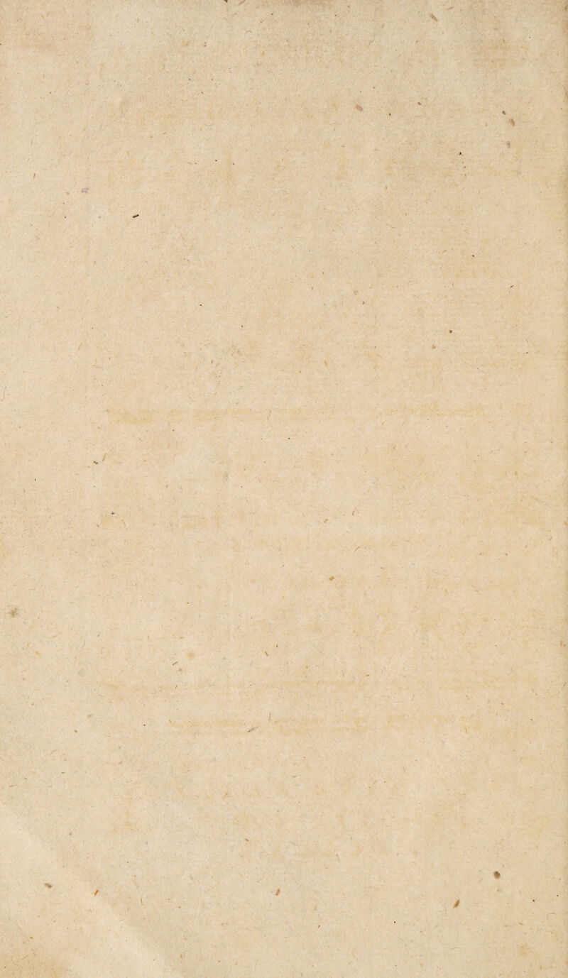 • . / t l r ; £9 i \ -'S % 'i / . ■ \ / f: u \- i i % /