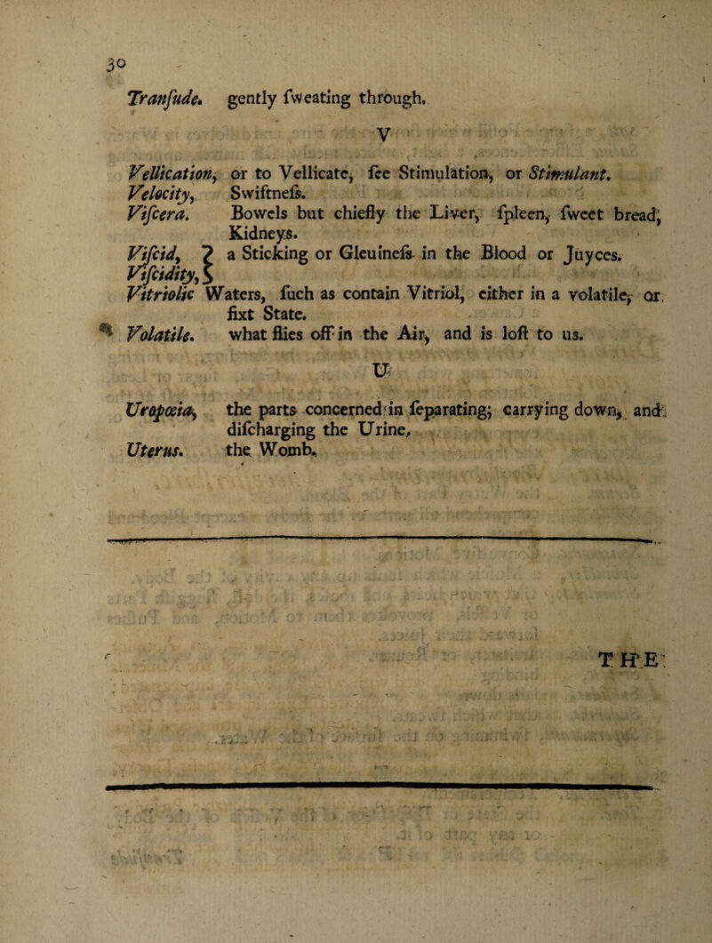 Tranjude. gently fw eating through, V Vellkation, or to Vellicate, fee Stimulation, or Stimulant. Velocity, Swiftnels. Vifcera. Bowels but chiefly the Liver, fpileen, fweet bread; Kidneys. Vifcidy ? a Sticking or Gleuinefs in the Blood or Juyces. Vifcidity, 3 Vitriolic Waters, fuch as contain Vitriol, either in a volatile* or fixt State. ^ Volatile. what flies off in the Air* and is loft to us. Urafoeia, the parts concerned in feparating; carrying dow% and; difcharging the Urine.. Uterus. the Womb. T H* E T t' \ ~'T * ' . . *. . . ' • - :■ i ; -1 ■ •