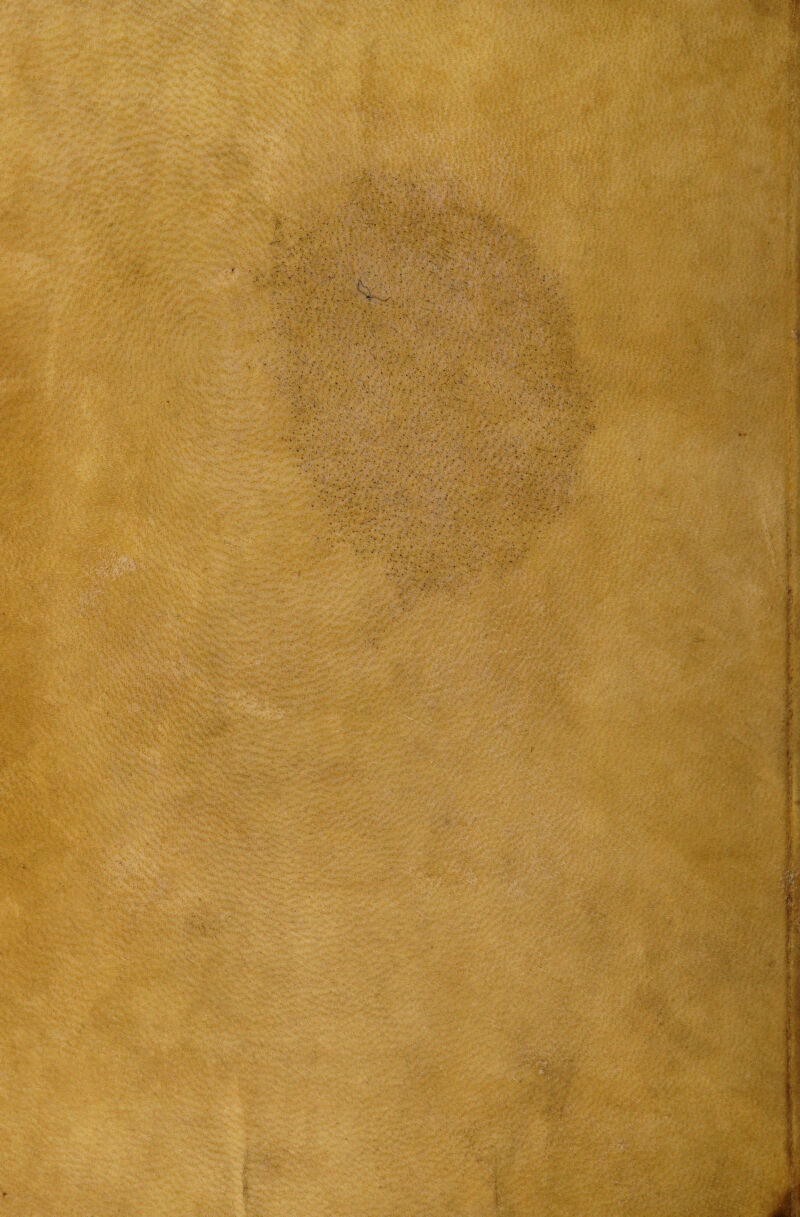 ' *• - , ■ «**»• - V/ > i- «i -V : ■ .. .. / • *, •• • • U • v -* * • • • {.'-*■ * • >. . .. • ' y , • . - . . ■ V,r-■.*“ ? • .■*.•. • . «2 ■■-' ' ' .• r.i ,V - • • ■ ' • • ■ - -'-3 : - : •-vo ■ V . ;• - . . . / • ? ■ • : • ‘ • ■ :  V v ■, v 'v.:-' ■ ' •>’* V .. • • . •• t ... •. • r ■ y* * - • : fV •-.•v - 'X. ' \ V . V . .v.-...  i,.r . '• ' ..... • ■ “ s,^ •: -s-, .; '• & < ■? ■ V“— ' •*' '*r .-.S..** j-g« y. • :• v' ?'• •• * * ... . V>?v ' vJfX.-- •' ■: :.r ' s* - • - • - • V. ' - >;% '>vv . V,*v *,■ ■ .... I y. ■' i • ■; ••: ... 'Y '>5-,. - i V m <A; . iv