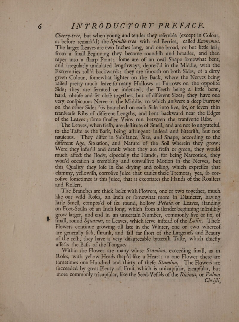 Cherry-tree, but when young and tender they refemble (except in Colour, as before remark’d) the Spindle-tree with red Berries, called Euonymus. The larger Leaves are two Inches long, and one broad, or but little lefs ; fiom a fmall Beginning they become roundifh and broader, and then taper into a fharp Point; fome are of an oval Shape fomewhat bent, and irregularly undulated lengthways, deprefs’d in the Middle, with the Extremities roll’d backwards; they are {mooth on both Sides, of a dirty green Colour, fomewhat lighter on the Back, where the Nerves being raifed pretty much leave fo many Hollows or Furrows on the oppofite Side; they are ferrated or indented, the Teeth being a little bent, hard, obtufe and fet clofe together, but of different Sizes; they have one very confpicuous Nerve in the Middle, to which anfwers a deep Furrow on the other Side; ’tis branched on each Side into five, fix, or feven thin tranfverfe Ribs of different Lengths, and bent backward near the Edges of the Leaves ; fome fmaller Veins run between the tranfverfe Ribs. The Leaves, when frefh, are deftitute of Smell, and are not fo ungrateful _ to the Tafte as the Bark, being aftringent indeed and bitterifh, but not naufeous. They differ in Subftance, Size, and Shape, according to the different Age, Situation, and Nature of the Soil wherein they grow: Were they infus’d and drank when they are frefh or green, they would much affect the Body, efpecially the Hands; for being Narcotick, they wou’d occafion a trembling and convulfive Motion in the Nerves, but this Quality they lofe in the drying and rolling, which exprefles that clammy, yellowifh, corrofive Juice that caufes thefe Tremors; yea, fo cor- rofive fometimes is this Juice, that it excoriates the Hands of the Roafters and Rollers. The Branches are thick befet with Flowers, one or two together, much like our wild Rofes, an Inch or fomewhat more in Diameter, having little Smell, compos’d of fix round, hollow Petala or Leaves, ftanding on Foot-Stalks of an Inch long, which from a flender beginning infenfibly grow larger, and end in an uncertain Number, commonly five or fix, of {mall, round Sguame, or Leaves, which ferve inftead of the Lakx. Thefe Flowers continue growing till late in the Winter, one or two whereof are generally fick, fhrunk, and fall far fhort of the Largenefs and Beauty of the reft; they have a very difagreeable bitterifh Tafte, which chiefly affects the Bafis of the Tongue. Within the Flower are many white Stamina, exceeding {mall, as in Rofes, with yellow Heads fhap’d like a Heart; in one Flower there are - fometimes one Hundred and thirty of thefe Stamina. The Flowers are fucceeded by great Plenty of Fruit which is unicapfular, bicapfular, but more commonly tricapfular, like the Seed-Veflels of the Ricinus, or nate is dha Chrifti,