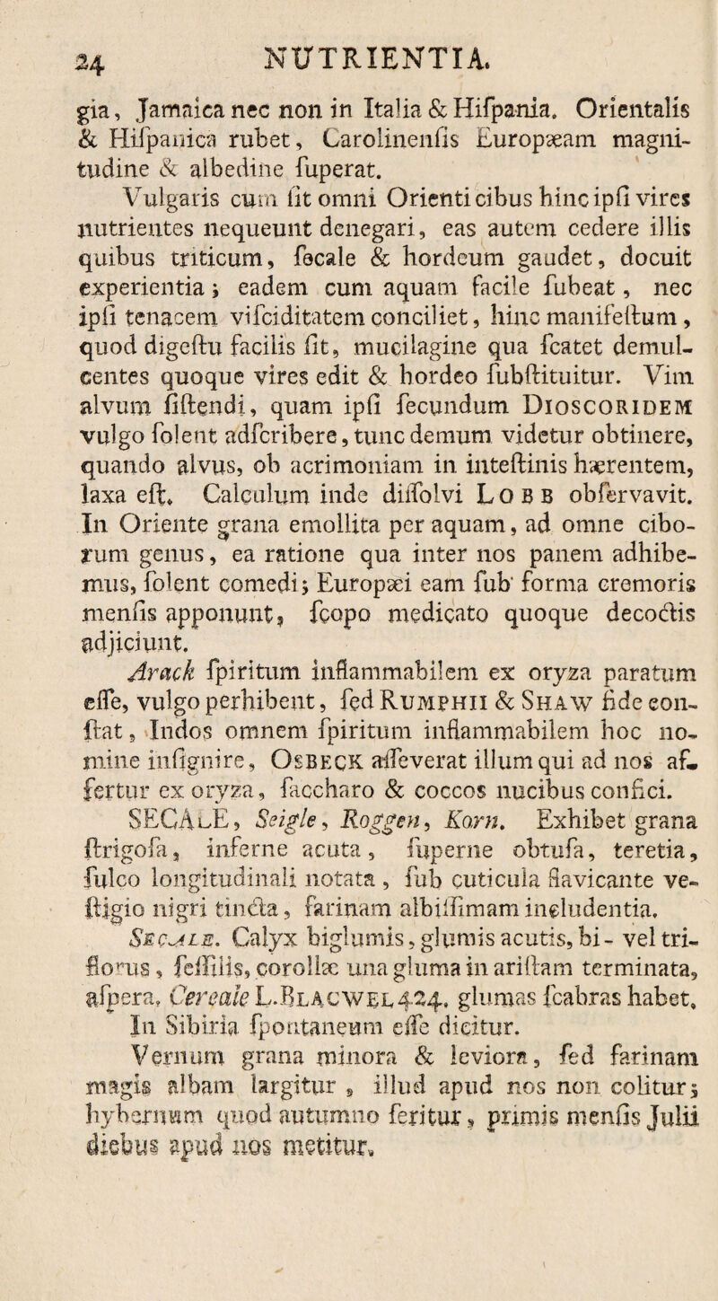 gia, Jamaica nec non in Italia & Hifpania. Orientalis & Hifpanica rubet, Carolinenfis Europseam magni¬ tudine & albedine fuperat. Vulgaris cum lit omni Orienti cibus hinc ipfi vires nutrientes nequeunt denegari, eas autem cedere illis quibus triticum, fscale & hordeum gaudet, docuit experientia ; eadem cum aquam facile fubeat, nec ipfi tenacem vifciditatem conciliet, hinc manifeftum, quod digeftu facilis lit, mucilagine qua fcatet demul¬ centes quoque vires edit & hordeo fubftituitur. Vim alvum fiftendi, quam ipfi fecundum Dioscoridem vulgo folent adferibere, tunc demum videtur obtinere, quando alvus, ob acrimoniam in inteftinis haerentem, laxa eft* Calculum inde diffolvi Lobb obfervavit. In Oriente grana emollita per aquam, ad omne cibo¬ rum genus, ea ratione qua inter nos panem adhibe¬ mus, folent comedi; Europsei eam fub' forma cremoris menfis apponunt? fcopo medicato quoque decoCtis adjiciunt. Arack fpiritum inflammabilem ex oryza paratum efle, vulgo perhibent, fed Rumphii & Shaw fide eon- ftat ? Indos omnem fpiritum inflammabilem hoc 110» mine infignire, Osbeck aifeverat illum qui ad nos af¬ fertur ex oryza, faccharo & coccos nucibus confici. SECA CE, Seigle, Roggen, Korn. Exhibet grana ftrigofa, inferne acuta, fuperne obtufa, teretia, fulco longitudinali notata , fub cuticula flavicante ve» ftlgio nigri tincta, farinam albillimam includentia. Secale. Calyx biglumis, glumis acutis, bi- vel tri- florus, feffiiis, corolix una gluma in aridam terminata, afpera» Cereale L.B.lacwee4-4# glumas fcabras habet» In Sibiria fpontaneum e fle dicitur. Vernum grana minora & leviora, fed farinam magig albam largitur 9 illud apud nos non colitur; hybesrrmm quod autumno feritur ? primis menfis Julii diebus apud nos metitur.