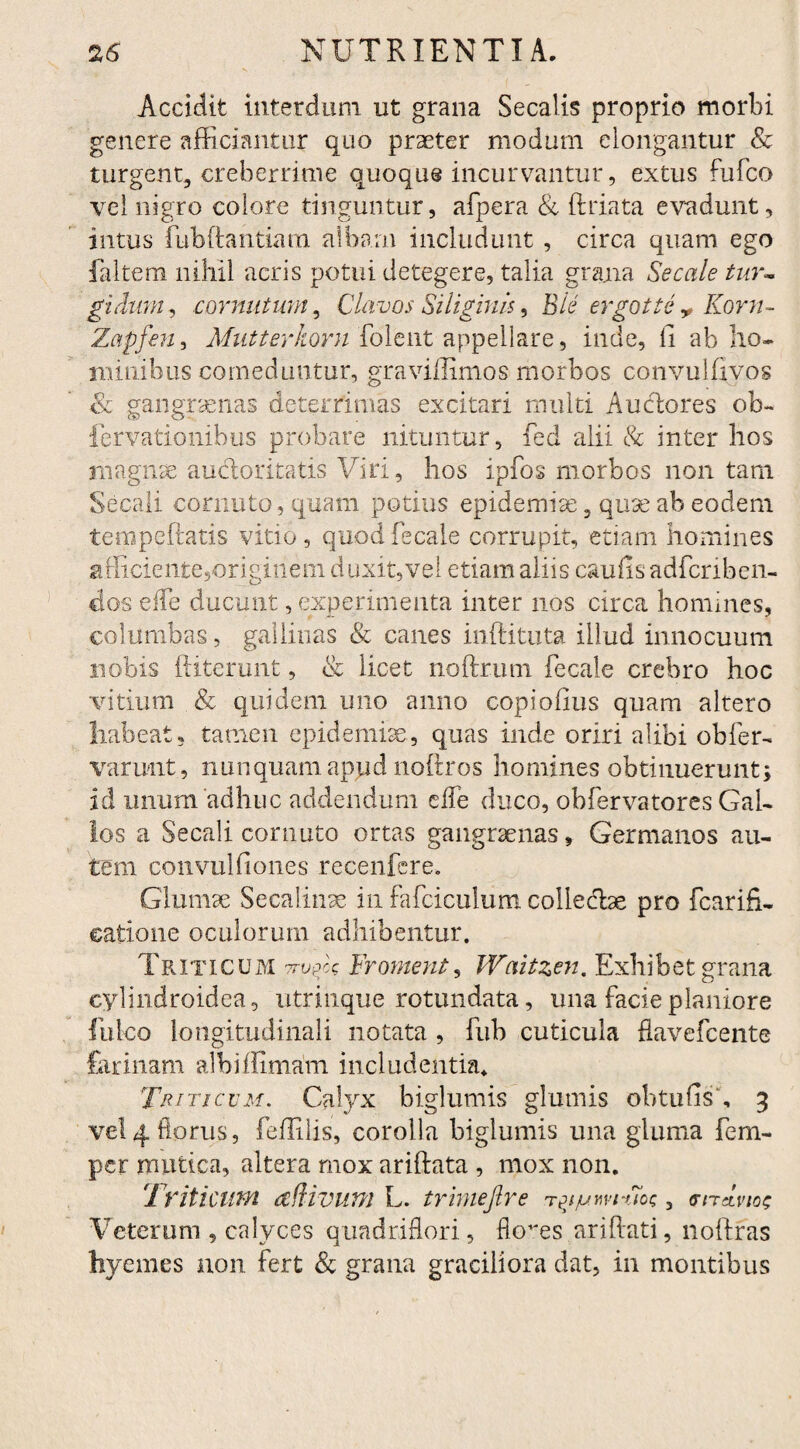 Accidit interdum ut grana Secalis proprio morbi genere afficiantur quo praeter modum elongantur & turgent, creberrime quoque incurvantur, extus fufco vel nigro colore tinguntur, afpera & ftriata evadunt, intus fubftantiam albam includunt , circa quam ego faltem nihil acris potui detegere, talia grana Secale tur¬ gidum? cornutum, Clavos Siliginis, Bie ergotte * Korn~ Zapfen, Mntterkorn folent appellare, inde, li ab ho¬ minibus comeduntur, graviffimos morbos convulfivos & gangraenas deterrimas excitari multi Auctores ob- fervationibus probare nituntur, fed alii & inter hos magnae audoritatis Viri, hos ipfos morbos non tam Secali cornuto, quam potius epidemiae 3 quse ab eodem tempeftatis vitio, quod fecale corrupit, etiam homines afficiente,originem duxit,vei etiam aliis caufisadfcriben- dos ede ducunt, experimenta inter nos circa homines, columbas, gallinas & canes inftituta illud innocuum nobis ftiterunt, & licet noftrum fecale crebro hoc vitium & quidem uno anno copiofius quam altero habeat, tamen epidemise, quas inde oriri alibi obfer- varurit, nunquam apud noftros homines obtinuerunt; id unum adhuc addendum effe duco, obfervatores Gal¬ los a Secali cornuto ortas gangraenas, Germanos au¬ tem convuUiones recenfcre. Glumae Secalinse in fafciculum collectae pro fcarifi- eatione oculorum adhibentur. Triticum 7wgk Frornent, Waitzen. Exhibet grana cylindroidea, utrinque rotundata, una facie planiore Iuleo longitudinali notata , fub cuticula flavefcente farinam albiffimam includentia* Triticum. Calyx biglumis glumis obtufish 3 vel4 torus, feffilis, corolla biglumis una gluma fem- per mutica, altera mox ariftata , mox non. Triticum cc divum L. trimejlre rpjvm-uot;, <rndvios Veterum , calyces quadriflori, flores ariftati, noftras hyemes non fert & grana graciliora dat, in montibus