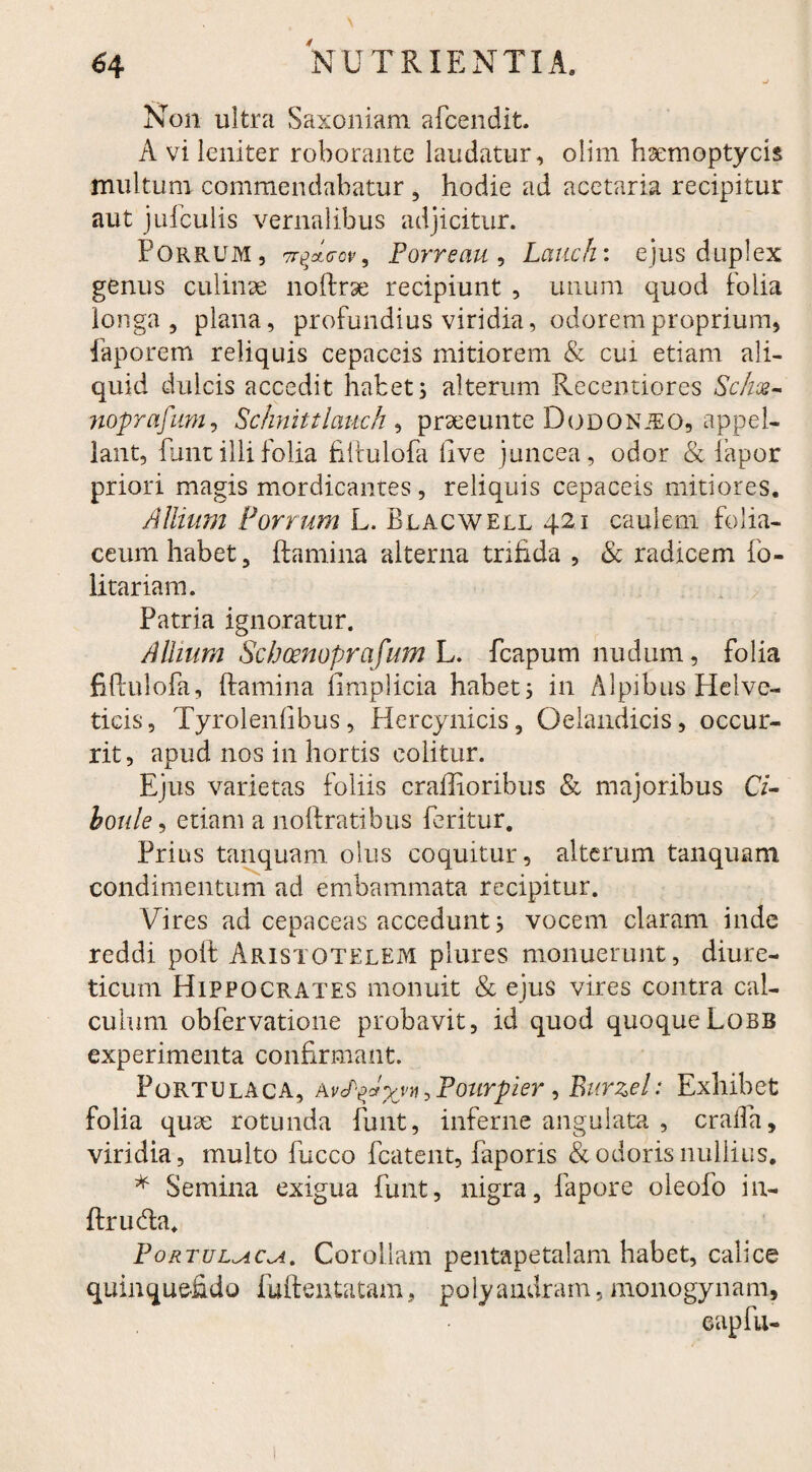 Non ultra Saxoniam afcendit. A vi leniter roborante laudatur, olim hsemoptycis multuni commendabatur , hodie ad acetaria recipitur aut jufculis vernalibus adjicitur. Porrum, 7r^aVo*, Porreau , Laudi: ejus duplex genus culinae noftrse recipiunt , unum quod folia longa , plana, profundius viridia, odorem proprium, faporem reliquis cepaceis mitiorem & cui etiam ali¬ quid dulcis accedit habet; alterum Recentiores Schx- noprafum, Schnittlauch , prseeunte Dodonjeo, appel¬ lant, funt illi folia fiifulofa live juncea, odor & fapor priori magis mordicantes, reliquis cepaceis mitiores. Allium Porrum L. Blacwell 421 caulem folia¬ ceum habet, flamina alterna trifida , & radicem lo- litariam. Patria ignoratur. Allium Scbcenoprafum L. fcapum nudum, folia fifiulofa, ftamina fimplicia habet; in Alpibus Helve¬ ticis , Tyrolenfibus, Hercynicis, Oelandicis, occur¬ rit, apud nos in hortis colitur. Ejus varietas foliis craflioribus & majoribus C/- houle, etiam a nolfratibus feritur. Prius tanquam olus coquitur, alterum tanquam condimentum ad embammata recipitur. Vires ad cepaceas accedunt; vocem claram inde reddi polf Aristotelem plures monuerunt, diure¬ ticum Hippocrates monuit & ejus vires contra cal¬ culum obfervatione probavit, id quod quoqueLobb experimenta confirmant. Portulaca, > Pourpier, Burzel: Exhibet folia quae rotunda funt, inferne angulata , craifa, viridia, multo fucco fcatent, faporis & odoris nullius. * Semina exigua funt, nigra, fapore oleofo in- ftruda. Portul^aCkA. Corollam pentapetalam habet, calice quinquefido fuftentatam ? poly andrarn, monogynam.