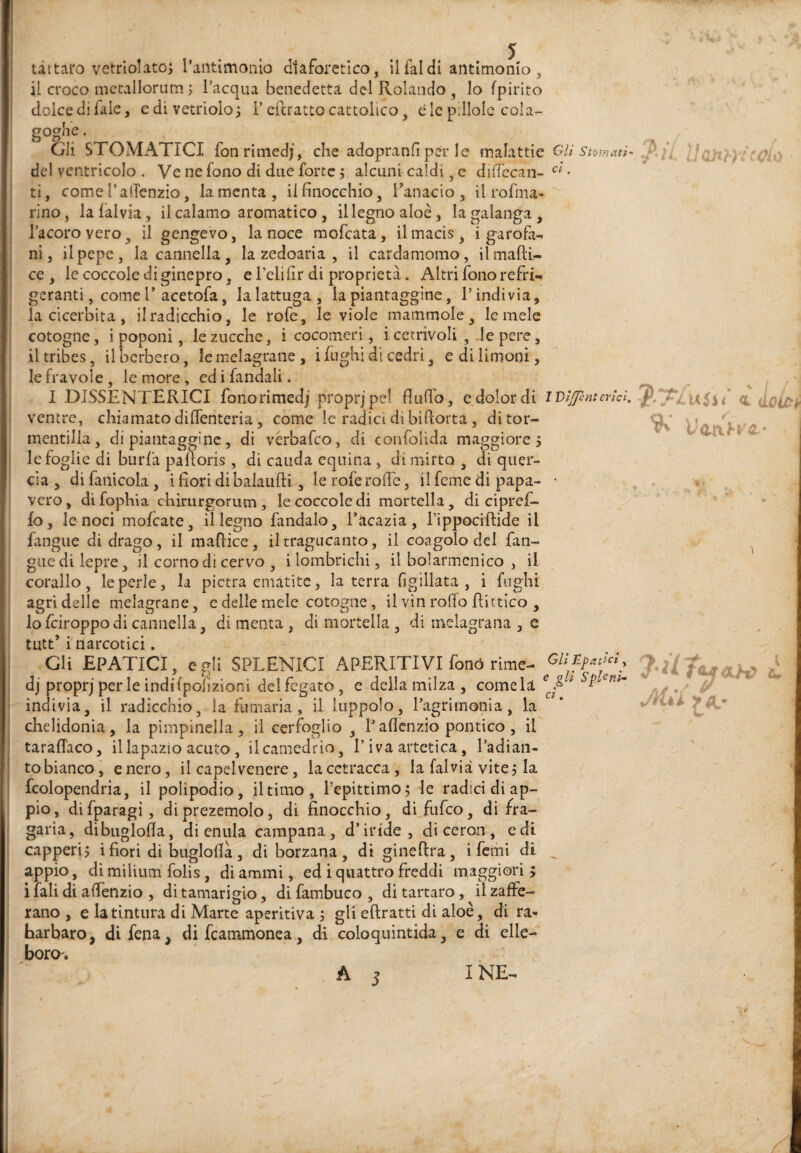 il croco mctallorum; l'acqua benedetta del Rolando, Io (pirite dolce di fale, edivetriolo; F eftratto cattolico, c le pillole cola- goghc. Gli STOMATICI fonrimed), che adopranfiper le malattie CU stoi del ventricolo , Ve ne fono di due forte 5 alcuni caldi, c dilfccan- • ti, come l’alTenzio, lamenta, il finocchio, Fanacio , il rofma- rino, lafalvia, il calamo aromatico, il legno aloè, lagalanga, l'acoro vero, il gengevo, la noce mofeata, il macis, i garofa¬ ni, il pepe, la cannella, la zedoaria , il cardamomo, ilmafti- ce, le coccole di ginepro, e Felifir di proprietà. Altri fono refri¬ geranti, come F acetofa, la lattuga, la piantaggine, F indivia, la cicerbita , il radicchio, le rofe, le viole mammole, le mele cotogne, i poponi, le zucche, i cocomeri, i cetrivoli , Je pere, il tribes, il berbero, le melagrane , i fughi di cedri, e di limoni, le fra voi e, le more, ed i fandali. I DISSENTERICI fonorimedj proprjpeì flufi'o, e dolor di iT)îjpnt ventre, chiamato diffenteria, come le radici di bifiorta, ditor- mentilla, di piantaggine, di verbafeo, di confolida maggiore, le foglie di burla pafloris , di caiida equina , di mirto , di quer¬ cia , di fanicola , i fiori di balaufli, le rofe rofie, il feme di papa- • vero, difophia chirurgorum, le coccole di mortella, di cipref- fo, le noci mofeate, il legno fandalo, Facazia , Fippociftide il fangue di drago, il mafiice, iltragucanto, il coagolo del fan- guedi lepre, il comodi cervo , i lombrichi, il bolarmenico , il corallo, le perle, la pietra ematite, la terra figillata , i foghi agri delle melagrane, e delle mele cotogne, il vin rollo flittico , lofeiroppodi cannella, di menta , di mortella , di melagrana , c tiitt’1 narcotici. Gli EPATICI, egli SPLENICI APERITIVI fonò rime- dj proprj per le ìndifpofizioni del fegato, e della milza, comela^^^^ f indivia, il radicchio, la fumaria , il luppolo. Pagri moni a, la chelidonia, la pimpinella, il cerfoglio , F afìcnzio politico, il taràflaco, il lapazio acuto , il camedrio, F iva artetica, l'adian- tobiancoi enero, il capelvenere, lacctracca, la falvià vite? la fcolopendria, il polìpodio, il timo, Fepittimo; le radici di ap¬ pio, difparagì, diprezemolo, di finocchio, difufeo, di fra- garia, dibuglofia, di eniila campana, d’iride, di ceron , e di capperi? i fiori di buglofià, di borzana, di ginefira, ifemi di ^ appio, di milium folis, di amimi, ed i quattro freddi maggiori ; i lali di affenzio , di tamarigio, di fambuco , di tartaro, il zaffe¬ rano , e la tintura di Marte aperitiva j gli eftratti di aloè, di ra¬ barbaro, difena, difeammonea, di coloquintida, e di elle¬ boro.