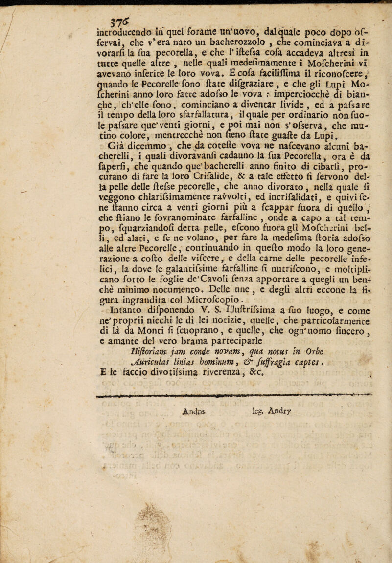 întroduceado îii quel forame uu' uoiro, dal quale poco dopo bf- ferva! j che v’era nato un bacherozzolo , che cominciava a di- vorarfila fua pecorella, e che hiftefsa cofa accadeva altresì in tutte quelle altre , nelle quali medefimamente i Mofeherini vi avevano inferite le loro vova, E cofa faciltlStna il riconofeere quando le Pecorelle fono fiate difgraziate , e che gli Lupi Mo¬ feherini anno loro fatte adofso le vova ; imperciocché di bian¬ che, ch’elle fono, cominciano a diventar livide , ed à pafsare li tempo della loro sfarfallatura, il quale per ordinario nonfuo- le pafsare que’venti giorni, e poi mai non s’ofserva, che mu¬ tino colore, mcntrecchè non fieno fiate guafle da Lupi. Già dicemmo , che ^da cotefle vova ne nafceyano alcuni ba- cherelli, i quali divoravanfi cadauno la fua Pecorella, ora è da faperfi, che quando que’bacherelli anno finito di cibarli, pro¬ curano di fare la loro Crifalide, & a tale effetto fi fervono del¬ la pelle delle llefse pecorelle, che anno divorato, nella quale fi veggono chiarifsimamente ravvolti, ed incrifalidati, e quivi fe- ne flanno circa a venti giorni più a fcappar fuora di quello',' che lliano le fovranominatc farfalline , onde a capo a tal tem¬ po, fquarziandofi detta pelle, efeono fuora gli Mofeherini bel¬ li, ed alati, e fe ne volano, per fare la medefima fioria adofso alle al tre ^Pecorelle, continuando in quello modo la loro gene¬ razione a collo delle vifeere, e della carne delle pecorelle infe¬ lici, la dove le galantifsime farfalline fi nutrifeono, e moltipli¬ cano fotto le foglie de’CavoIi fenza apportare a quegli un ben¬ ché minimo nocumento. Delle ime, c degli altri eccone la fi¬ gura ingrandita col Microfeopio. Intanto difponendo V. S, Illuflrifsima a fùo luogo, e come ne’proprii nicchi le di lei notizie, quelle, che particolarmente di la da Monti fi fcuoprano, e quelle, che ogn’uomo lineerò, e amante del vero brama parteciparle ìli/ìorìam jam conde noyam^ qua notus In Orbe ^uriculas linias homlnum^ & fuffragla captes, E le faccio divotifsima riverenza , dee, ' j ini»ii»ii Ulti II. 'I.W I AndDs. leg. Audry