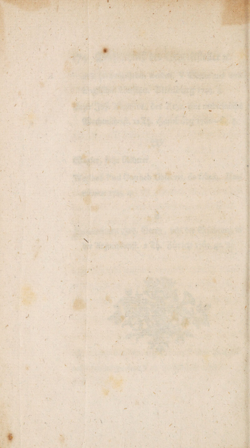 \ / \ y / / \ \ f /' / / / \ ) ' / 41 / } \ I / i * V f /