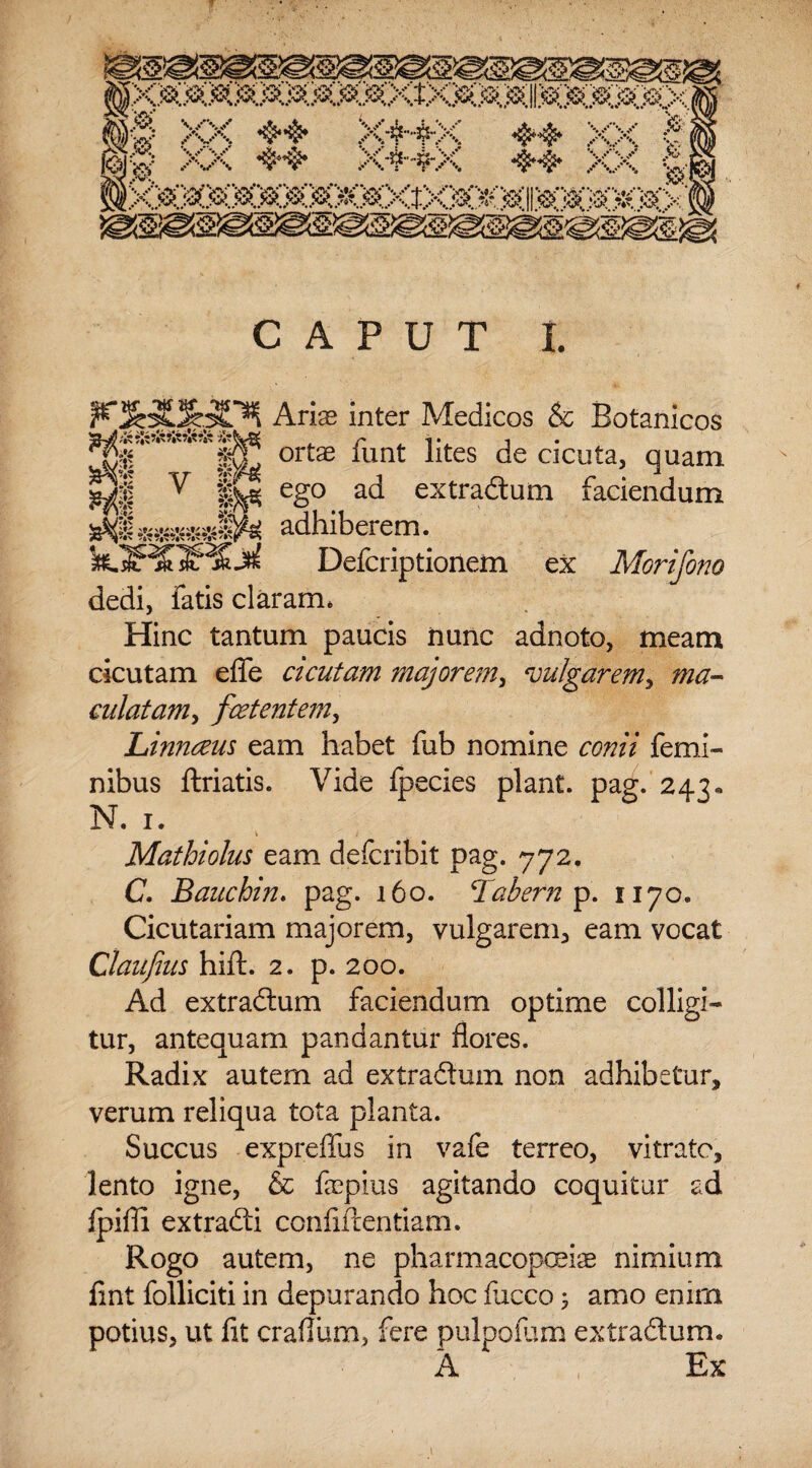 Aris inter Medicos & Botanicos orts funt lites de cicuta, quam sg$! ^ 1^ eg° ad extradum faciendum saM adhiberem. Defcriptionem ex Morifono dedi, latis claram. Hinc tantum paucis nunc adnoto, meam cicutam effe cicutam majorem, ‘vulgarem, ma¬ culatam^ foetentem, Linnoeus eam habet fub nomine conii femi¬ nibus ftriatis. Vide Ipecies piant, pag. 243. N. 1. Mathiolus eam defcribit pag. 772. C. Bauchin. pag. 160. Tabem p. 1170. Cicutariam majorem, vulgarem, eam vocat Claufius hift. 2. p. 200. Ad extradum faciendum optime colligi¬ tur, antequam pandantur flores. Radix autem ad extradum non adhibetur, verum reliqua tota planta. Succus expreflus in vafe terreo, vitratc, lento igne, & fspius agitando coquitur ad fpiffi extradi confidentiam. Rogo autem, ne pharmacopolis nimium fint folliciti in depurando hoc fucco; amo enim potius, ut fit crafliim, fere pulpoiiim extradum. A Ex