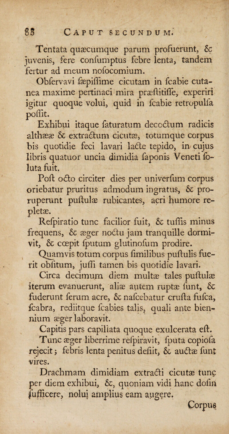 Tentata quaecumque parum profuerunt, & juvenis, fere confumptus febre lenta, tandem fertur ad meum nofocomium. Obfervavi faepiffime cicutam in fcabie cuta¬ nea maxime pertinaci mira praeftitilfe, experiri igitur quoque volui, quid in fcabie retropulfa poffit. Exhibui itaque faturatum deccftum radicis althaeae & extradlum cicutae, totumque corpus bis quotidie feci lavari lacte tepido, in cujus libris quatuor uncia dimidia faponis Veneti fo- luta fuit. Fort octo circiter dies per univerfum corpus oriebatur pruritus admodum ingratus, & pro¬ ruperunt pullulae rubicantes, acri humore re¬ pletae. Refpiratio tunc facilior fuit, & tuffis minus frequens, & aeger nodtu jam tranquille dormi¬ vit, & coepit fputum glutinofum prodire. Quamvis totum corpus fimilibus pullulis fue¬ rit oblitum, juffi tamen bis quotidie lavari. Circa decimum diem multae tales pullulae iterum evanuerunt, aliae autem ruptae funt, & fuderunt ferum acre, & nafcebatur crufla fufca, fcabra, rediitque fcabies talis, quali ante bien¬ nium aeger laboravit. Capitis pars capillata quoque exulcerata eft. Tunc aeger liberrime refpiravit, fputa copiofa rejecit; febris lenta penitus deliit, & audlae funt vires. Drachmam dimidiam extra&i cicutae tunc per diem exhibui, &, quoniam vidi hanc dolia fufficere, nolui amplius eam augere. Corpus