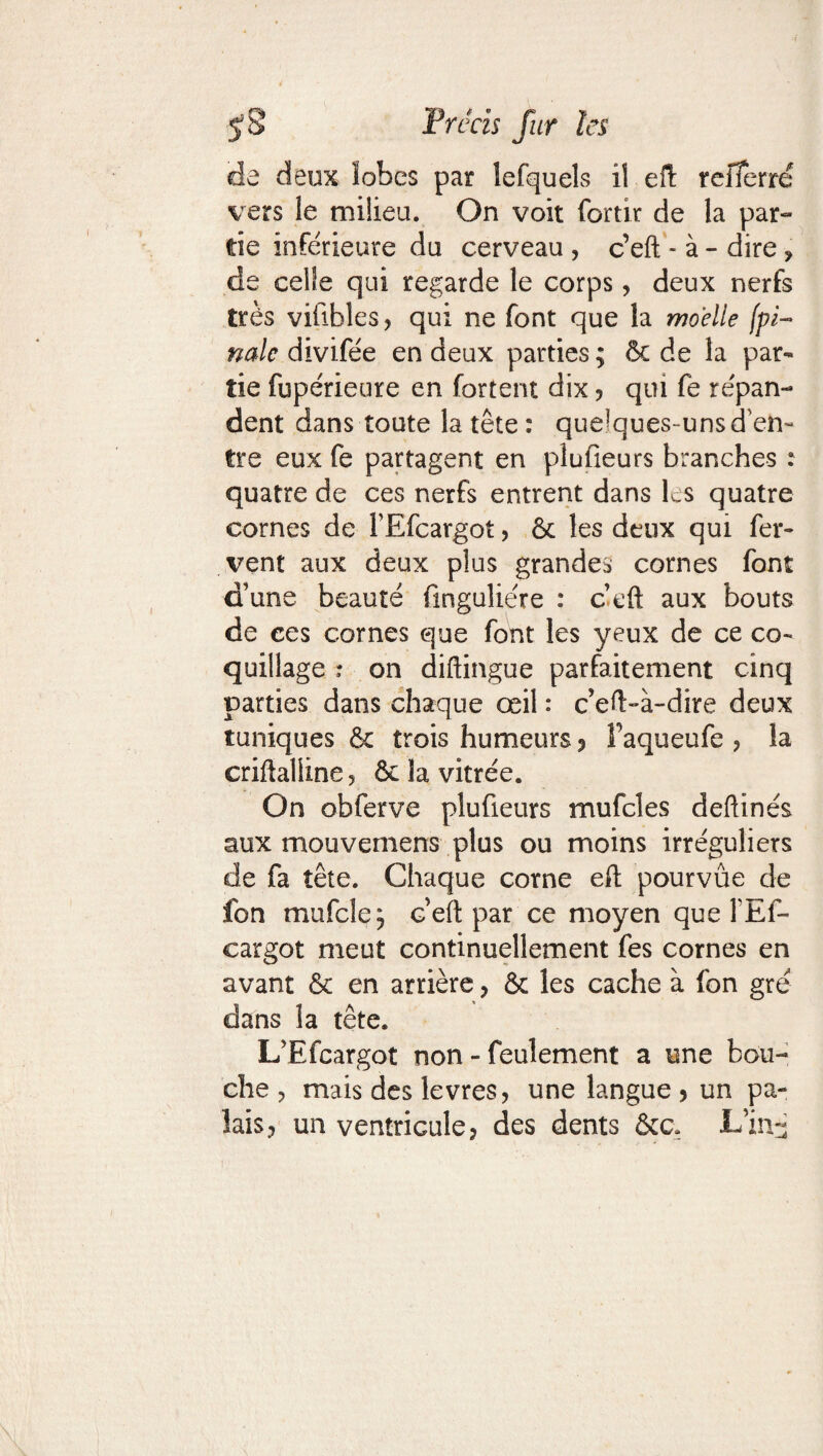 rrccts fur les de deux lobes par lefquels il eft reiTerré vers le milieu. On voit fortir de la par¬ tie inférieure du cerveau , c’eft - à - dire * de celle qui regarde le corps, deux nerfs très vifibles, qui ne font que la moelle [fi¬ nale divifée en deux parties ; & de la par¬ tie fupérieure en fortent dix ? qui fe répan¬ dent dans toute la tête : que?ques-unsd’en¬ tre eux fe partagent en plufieurs branches : quatre de ces nerfs entrent dans les quatre cornes de FEfcargot ? & les deux qui fer¬ vent aux deux plus grandes cornes font d’une beauté finguliére : c’eft aux bouts de ces cornes que font les yeux de ce co¬ quillage ? on diftingue parfaitement cinq parties dans chaque œil : c’eft-à-dire deux tuniques & trois humeurs 5 Faqueufe ? la criftalline? & la vitrée. On obferve plufieurs mufcles deftinés aux mouvemens plus ou moins irréguliers de fa tête. Chaque corne eft pourvue de fon mufcle ; c’eft par ce moyen que l’Ef- cargot meut continuellement fes cornes en avant & en arrière ? & les cache à fon gré dans la tête. L’Efcargot non - feulement a une bou¬ che ? mais des levres? une langue ? un pa¬ lais ? un ventricule? des dents &c. L’in-