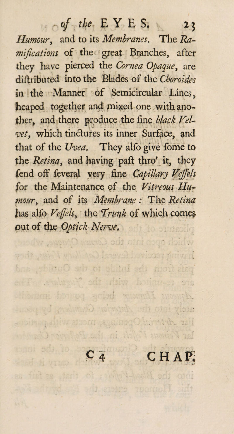 Humour^ and to its Membranes, The Ra¬ mifications of the ^ great Branches, after they have pierced the Cornea Opaque^ are diftributed into the Blades of the Choroides in the ^ Manner of Semicircular Lines, heaped together and, mixed one with ano¬ ther, and there produce the fine black Vel- » 'vi ' ^ . -i ' vefy which tindures its inner Surface, and that of the Uvea, They alfo give fome to thQ Retinay and having paft thro’ it^ they fend off feveral yery fine Capillary Vejfeh for the Maintenance of the Vitreous-Hu¬ mour ^ and of its Membrane: The Retina has alfo VeffelSy' the Urunk of which comes put of the Optick Nerve^ chap;