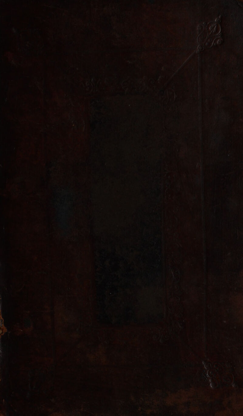 i po es “seh fie. | ae