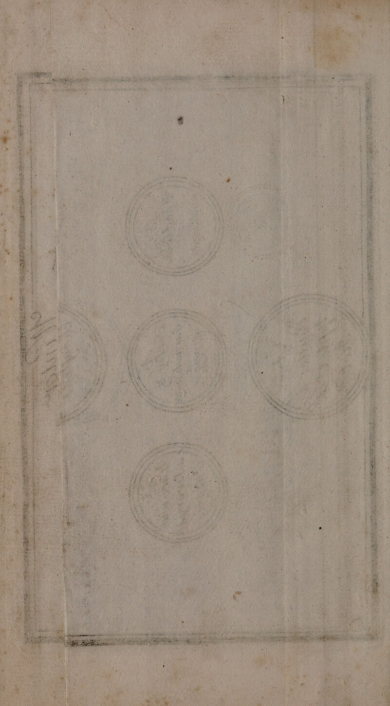 — ng b; ~< %, - Bee Pe Re), | 710 hay Cw, . os