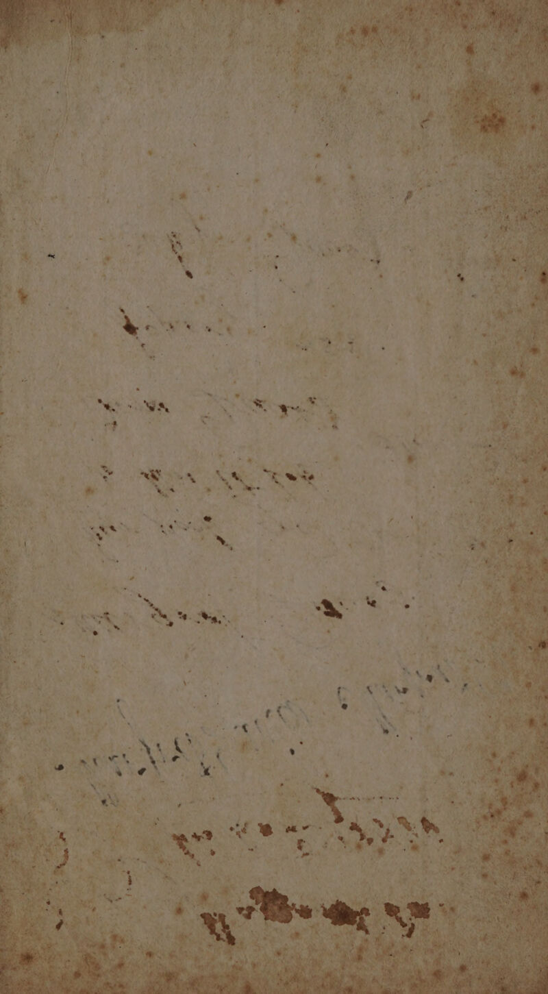 te le tx 7 iS - 5 a i vies Y ee “OWN See -? ae ‘ ; y